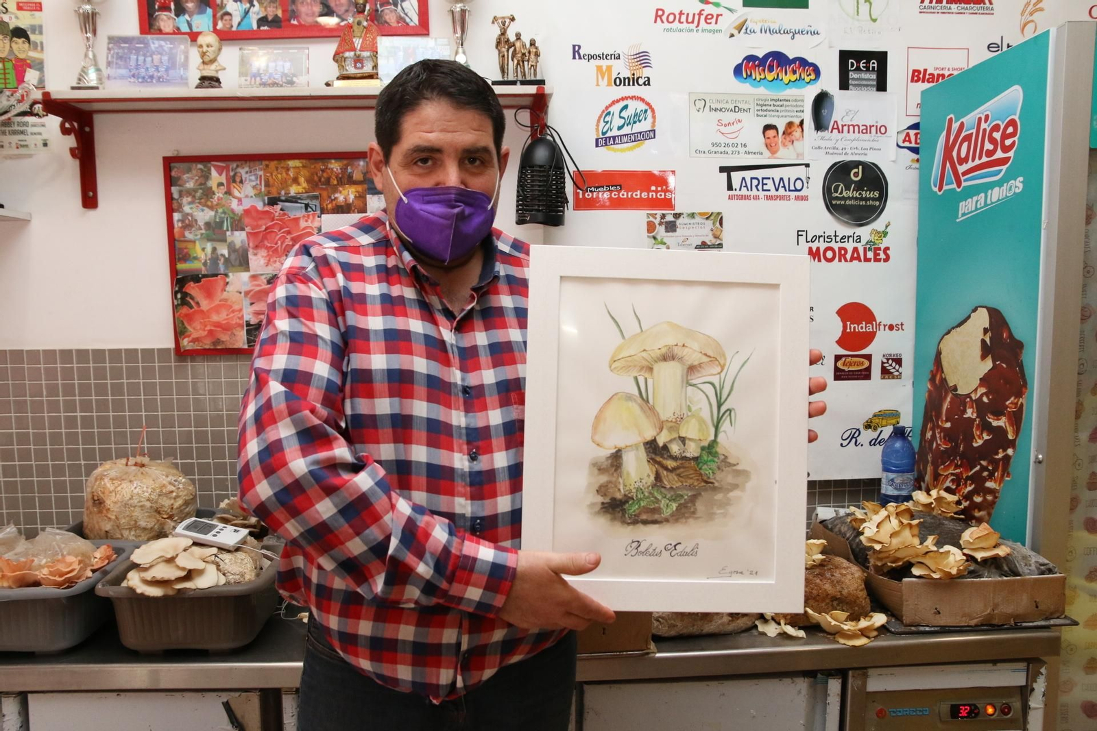 Fotogalería del Reino de las Setas