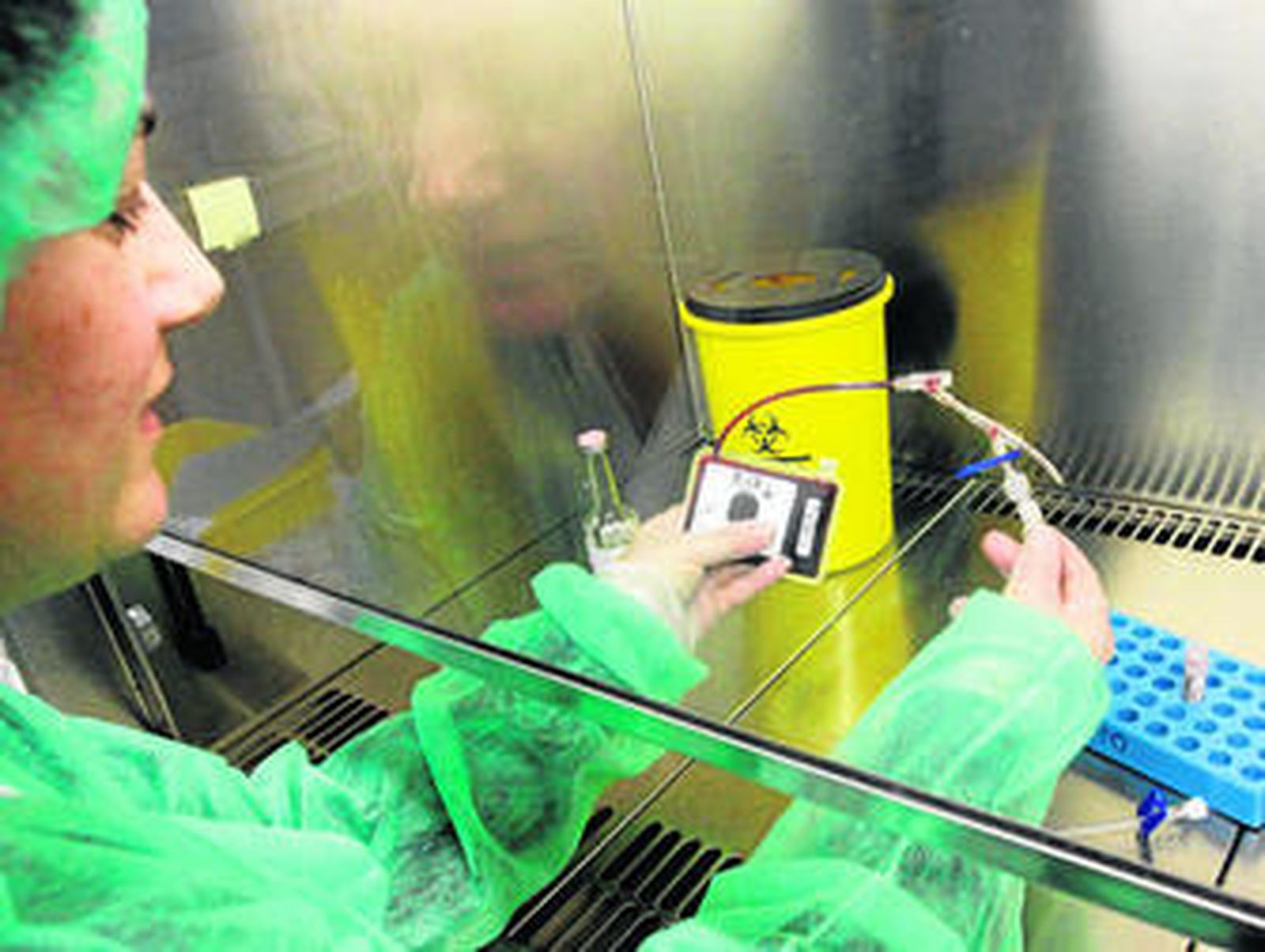 La sangre de cordón umbilical tiene que estar procesada y almacenada antes de que se cumplan las 48 horas de la donación.