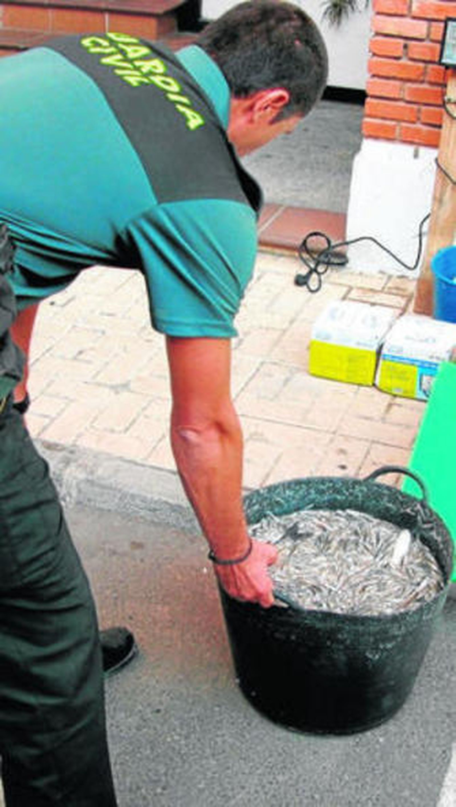 Un agente de la Guardia Civil con los inmaduros intervenidos.