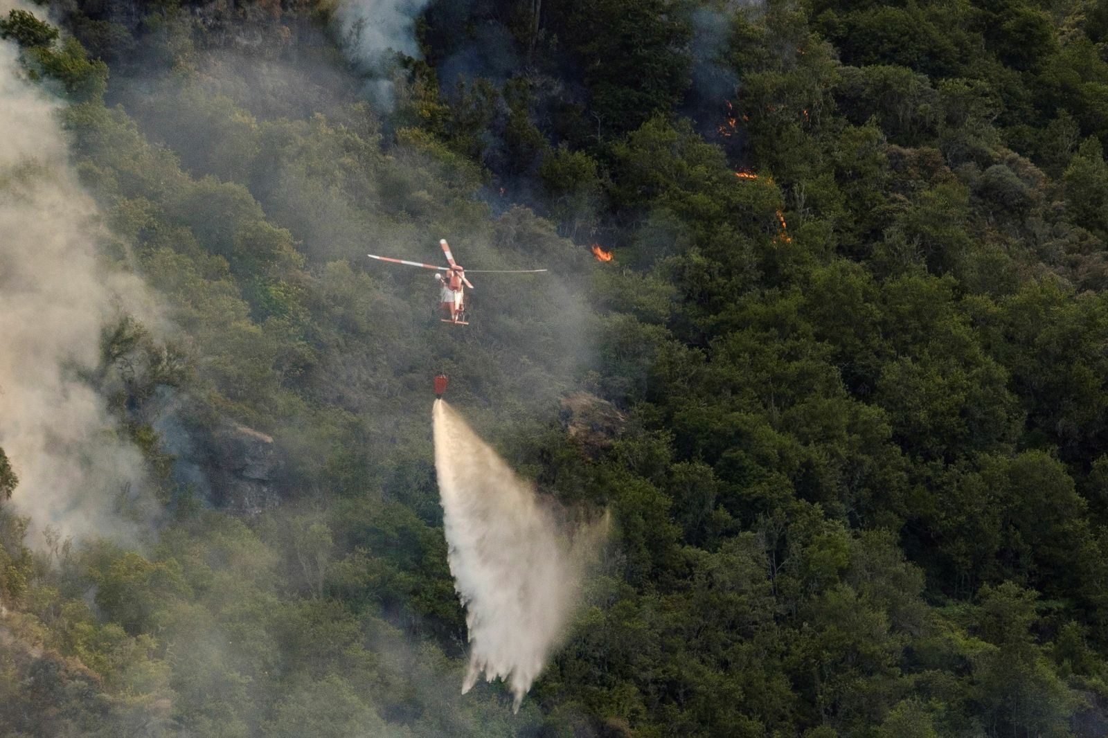 Las imágenes del incendio forestal en Gran Canaria.