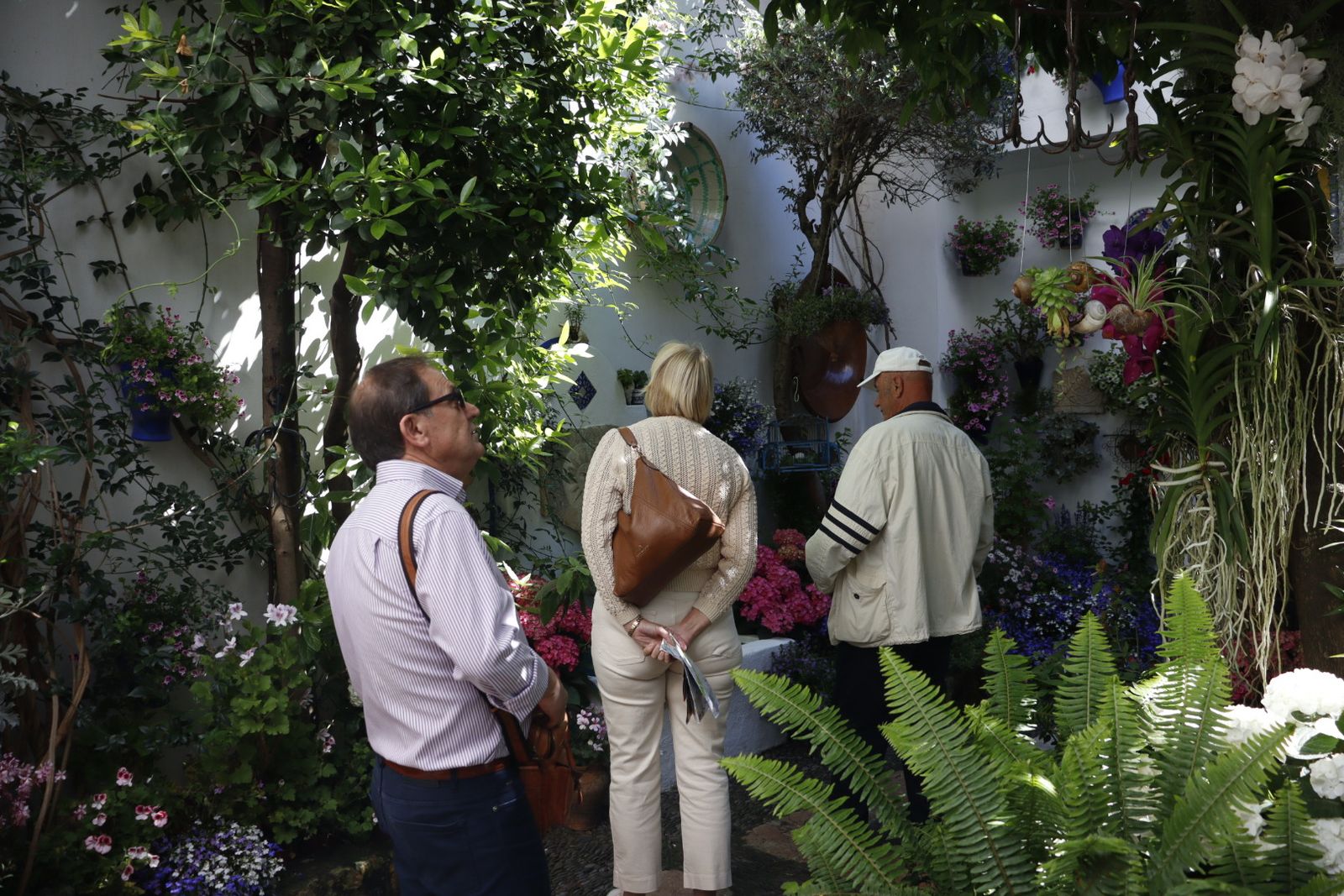 Ruta de los patios de San Lorenzo