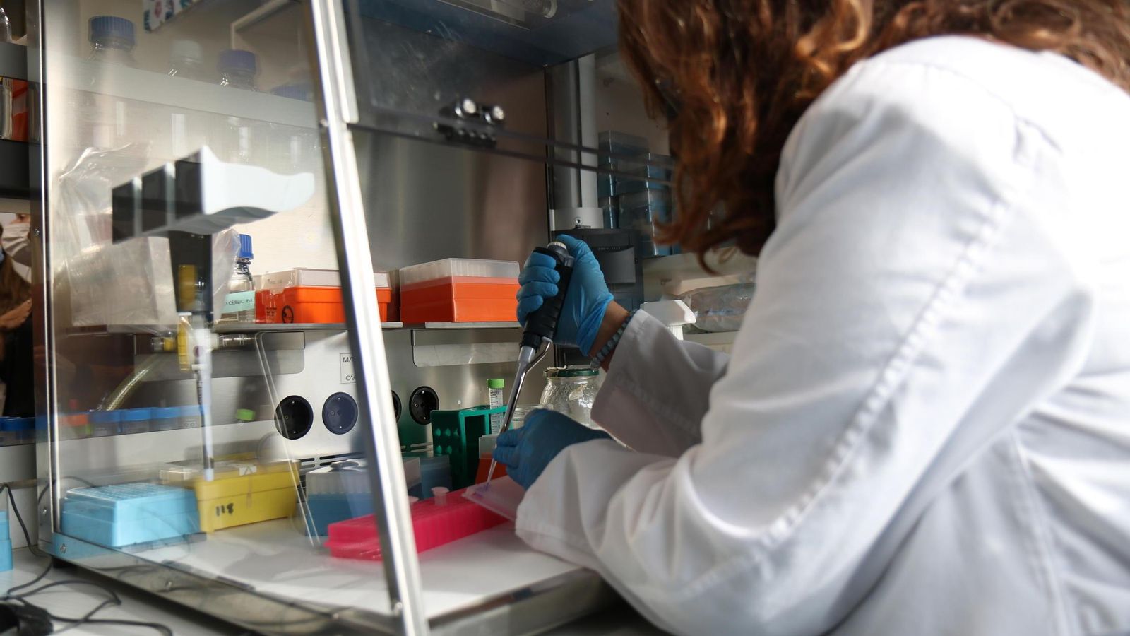 El trabajo en el laboratorio del equipo de la doctora Paradas.