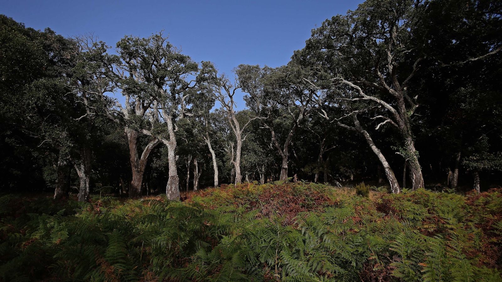 Las mejores fotos de San Carlos del Tiradero