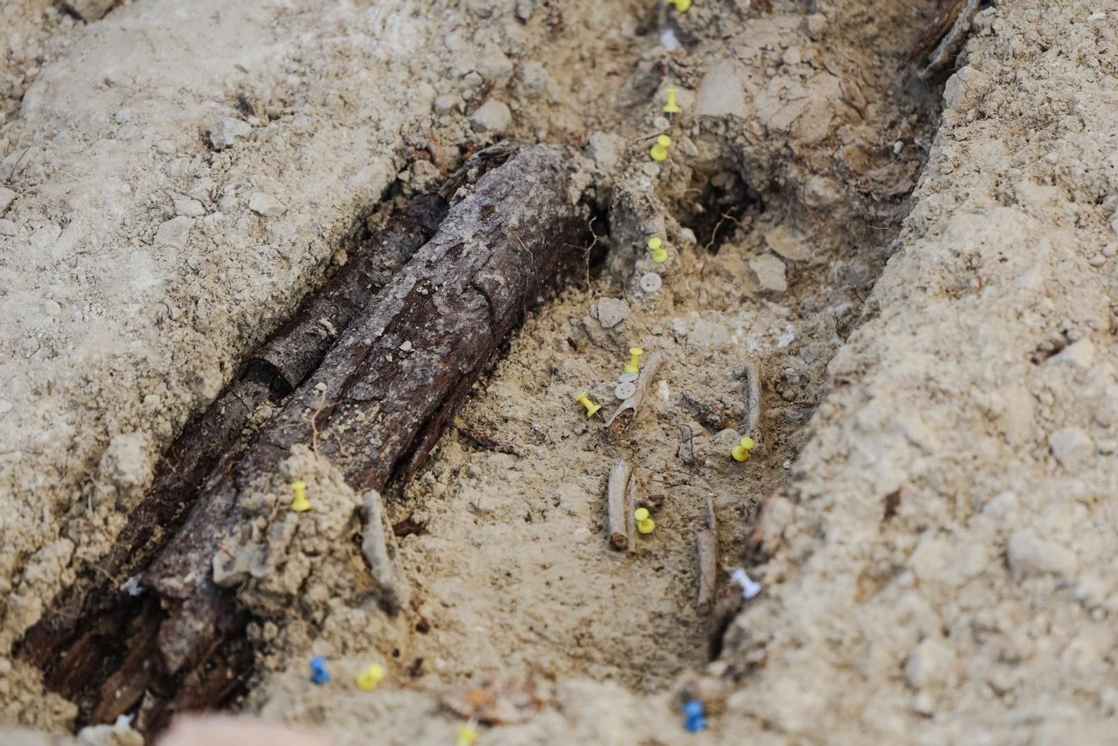 Imágenes de la exhumación de fosas comunes en el cementerio de Huelva para buscar posibles bebés robados