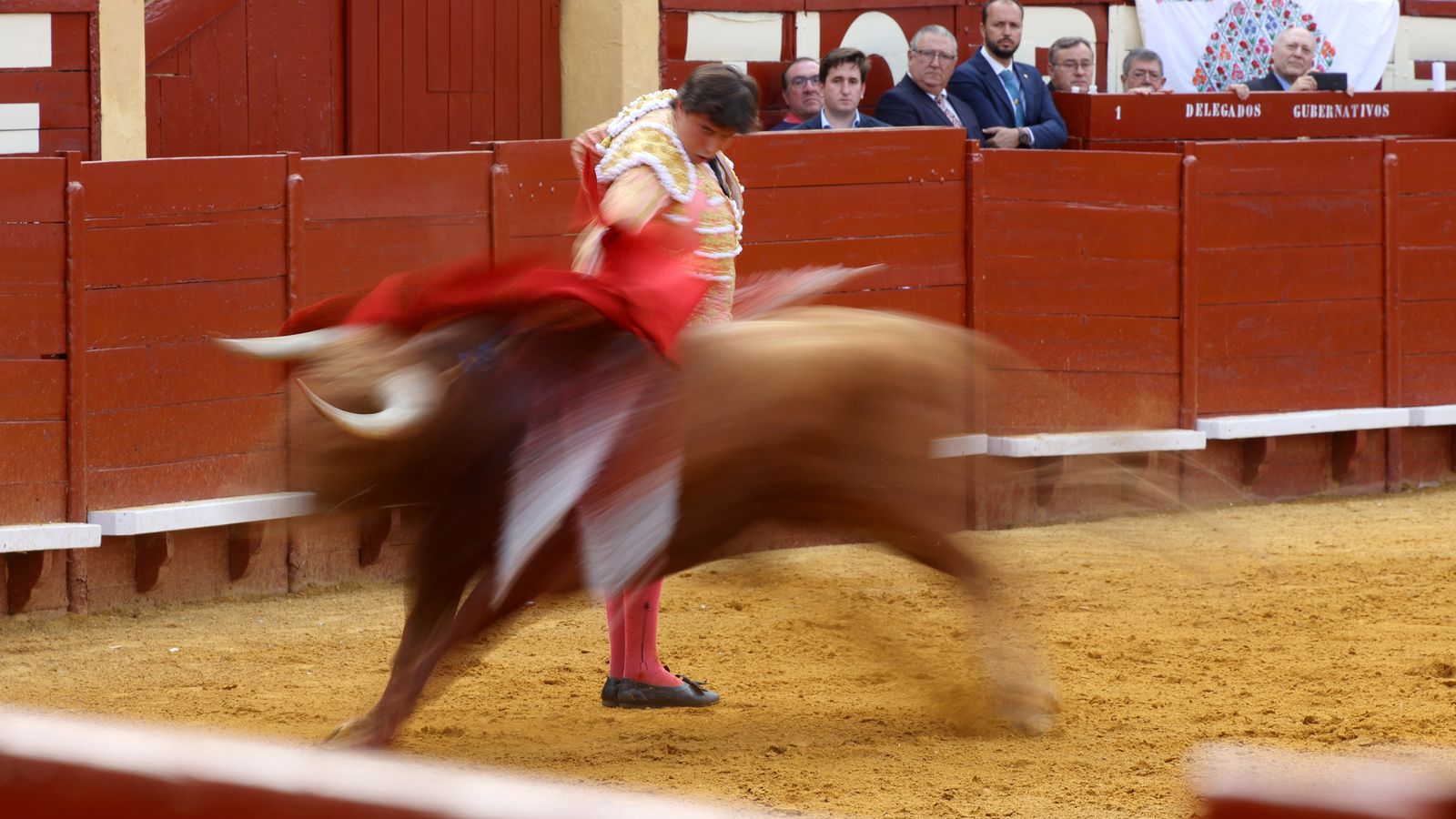 Tercera tarde de toros y última de la Feria de Jerez con Morante, Juan Ortega y Roca Rey