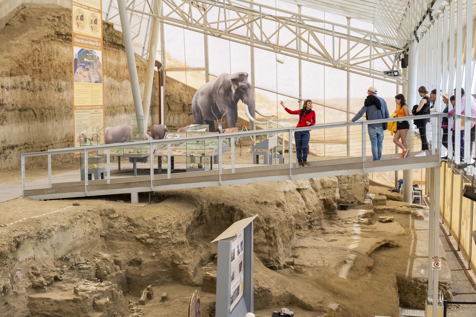 La Estación paleontológica Valle del río Fardes es una infraestructura del Centro Nacional Instituto Geológico y Minero de España del CSIC