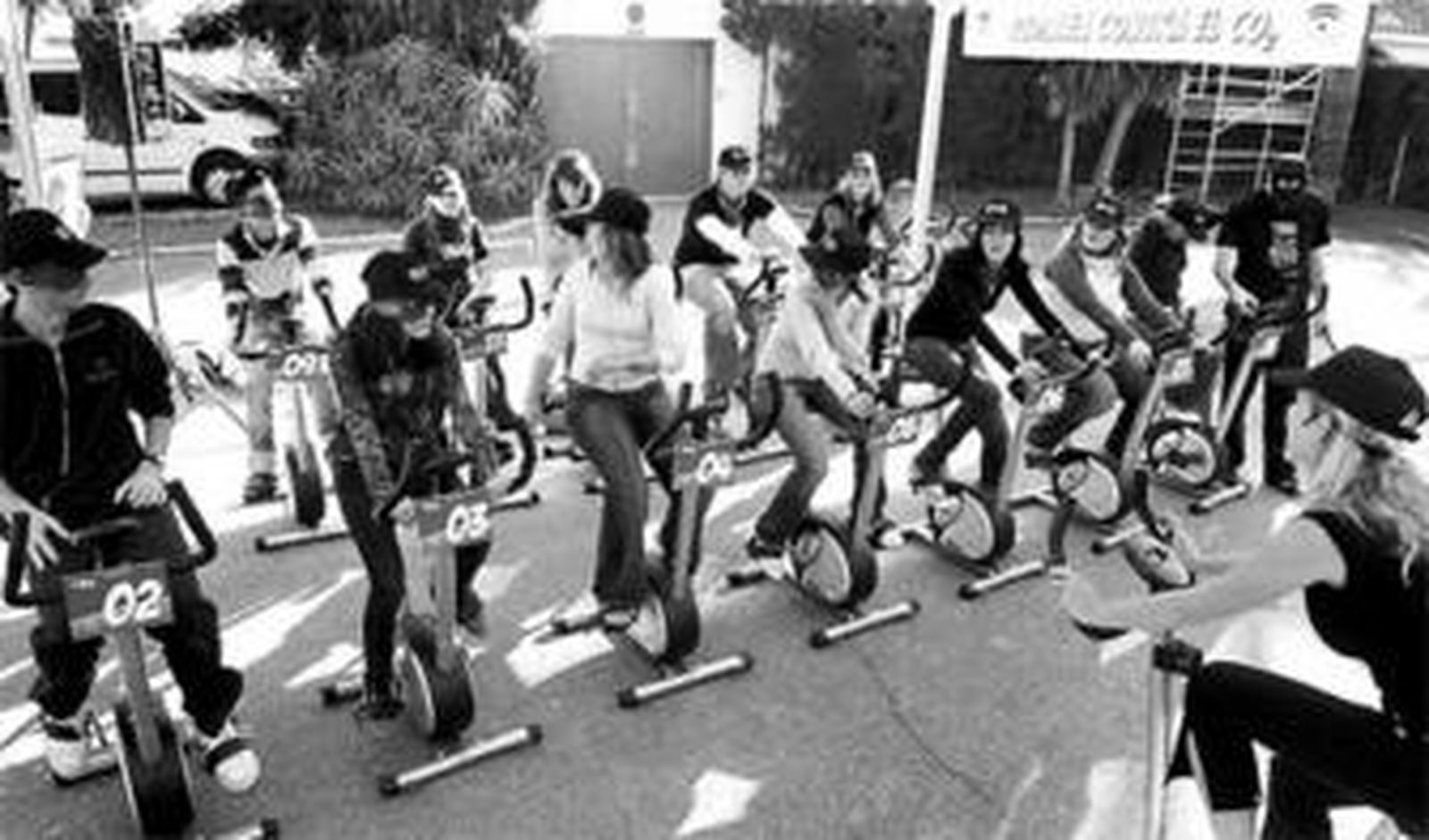 Universitarios que participaron ayer en la iniciativa de la Junta en El Ejido.