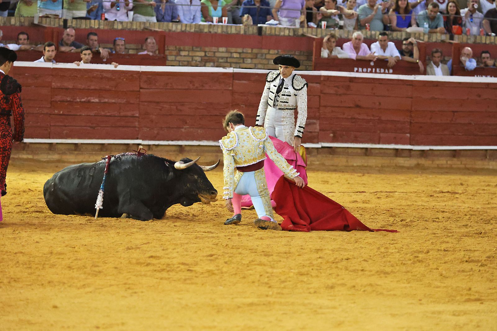 Toros La Merced 2024 Novillada con picadores(