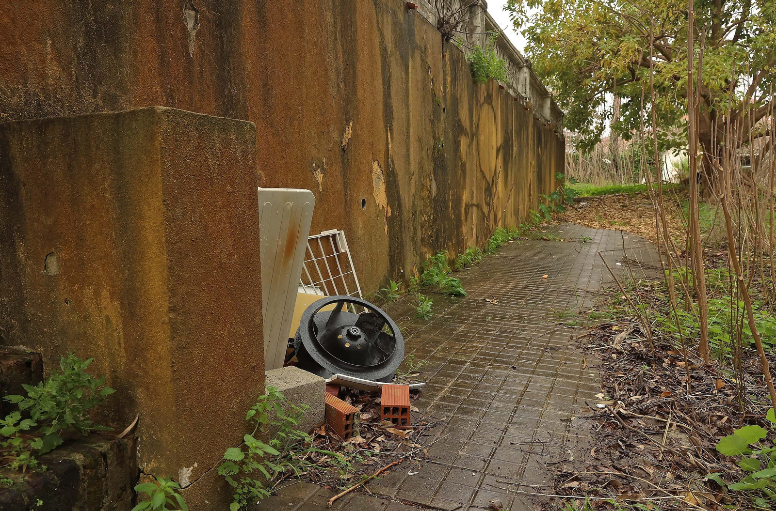 Fotos de las deficiencias en los juzgados del Palacio de Marzales de Algeciras