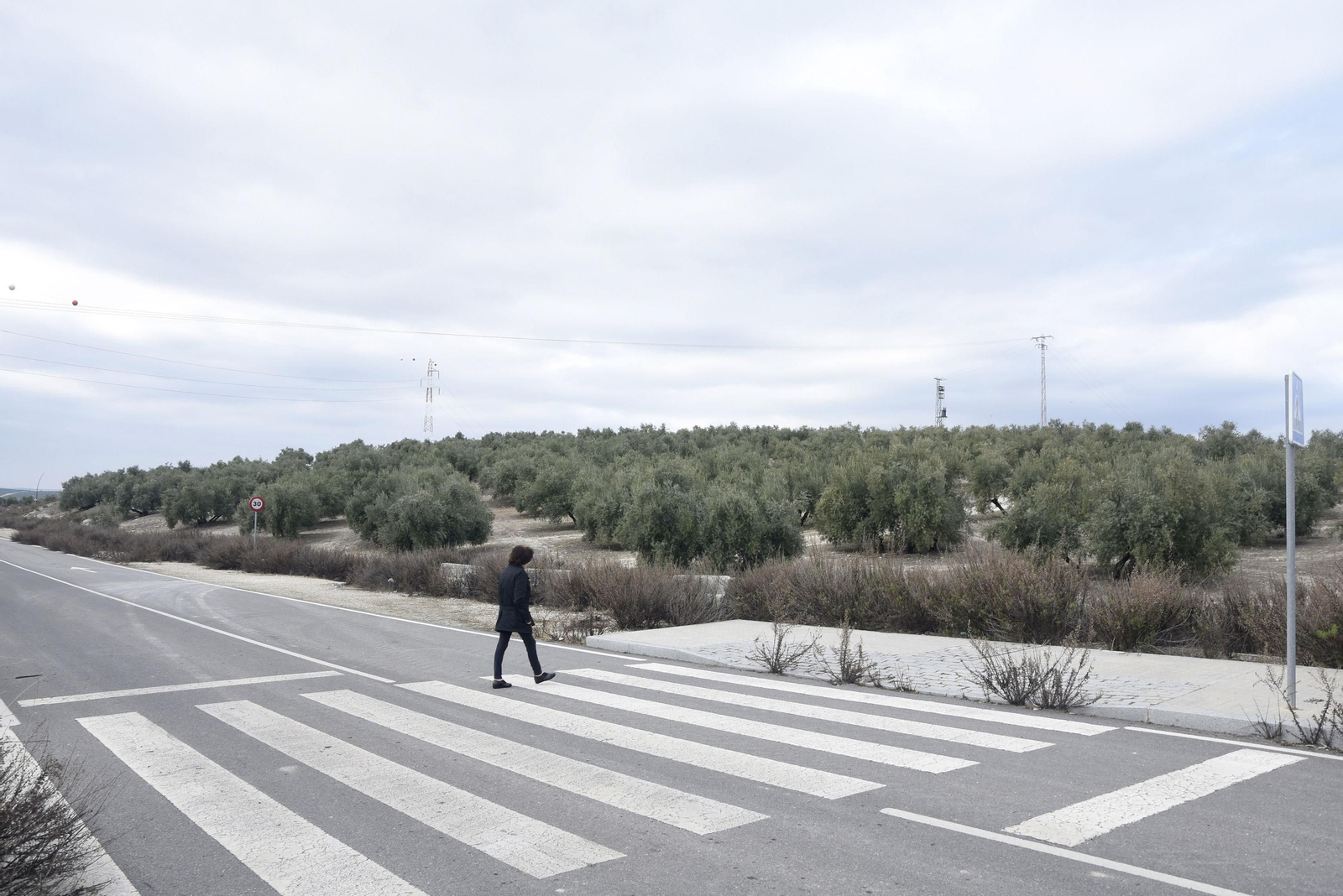 Terrenos donde se ubicará el hospital de Lucena.