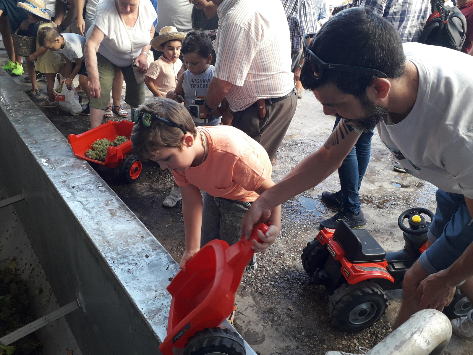 La primera vendimia infantil de Montilla, en imágenes