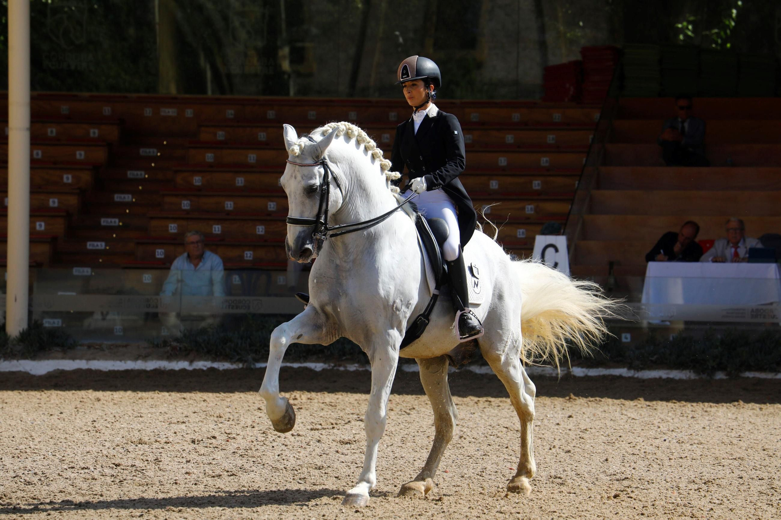 El concurso nacional de Doma Clásica en las Caballerizas Reales de Córdoba