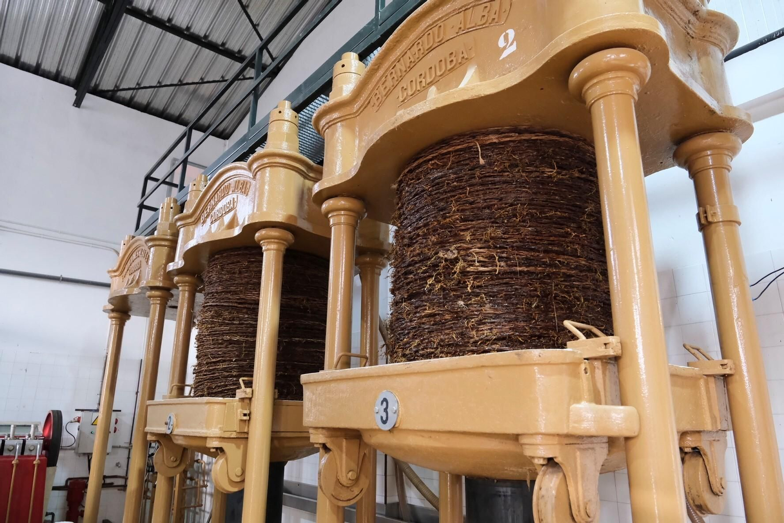 La vendimia en una pasera de Montilla-Moriles, en fotografías