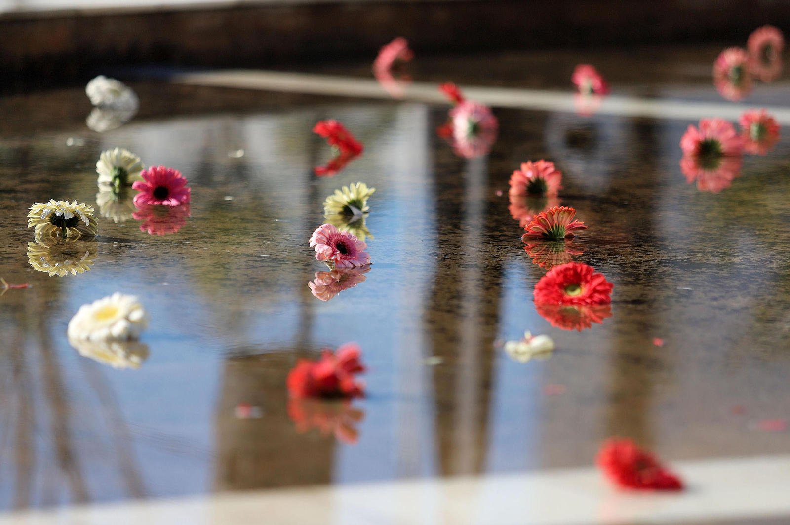Imágenes del minuto de silencio guardado en la Universidad de Huelva en memoria de los estudiantes fallecidos en el incendio