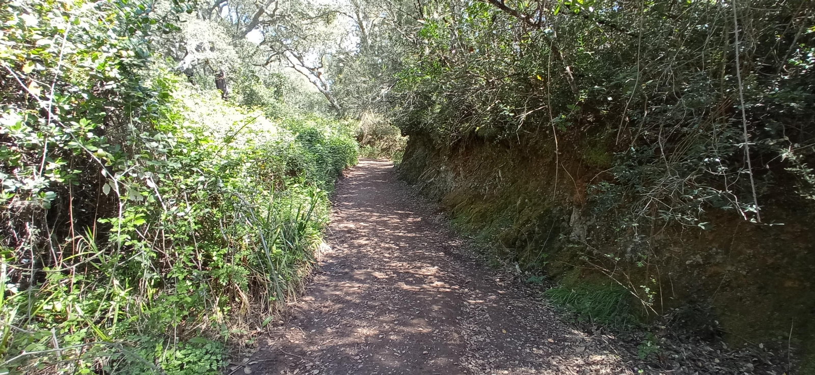 Las imágenes de la ruta de las casas de los Tres Cerditos