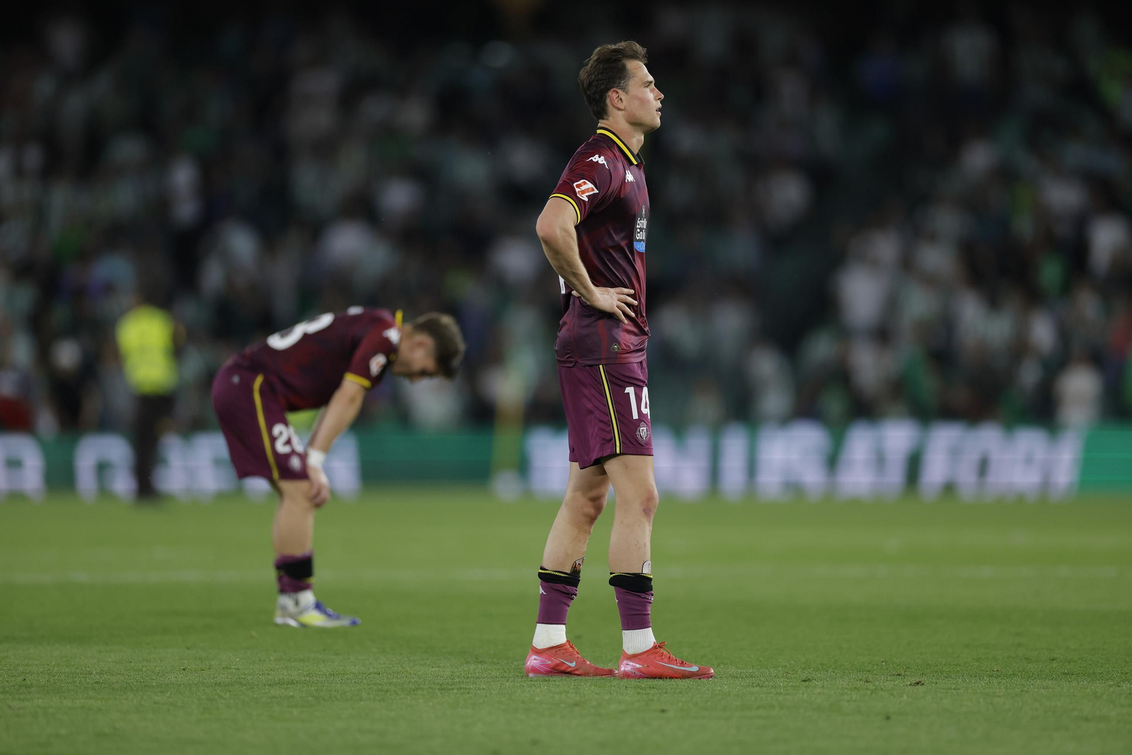 Las fotos del Betis - Valladolid