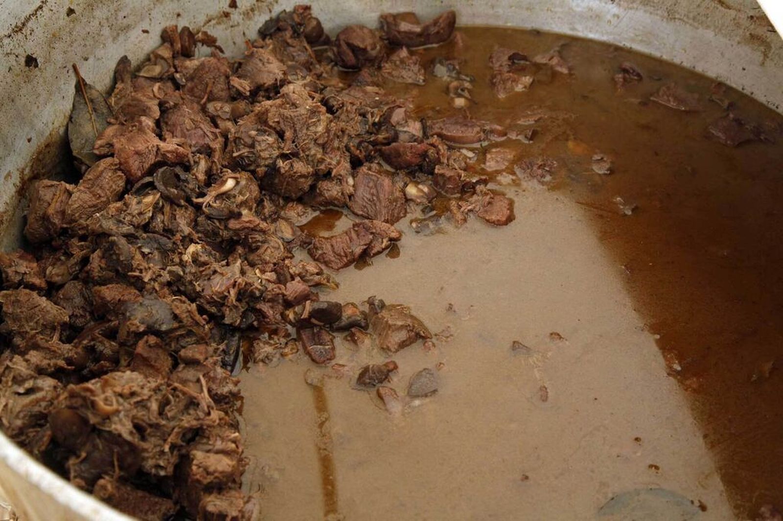 Venado con gurumelos