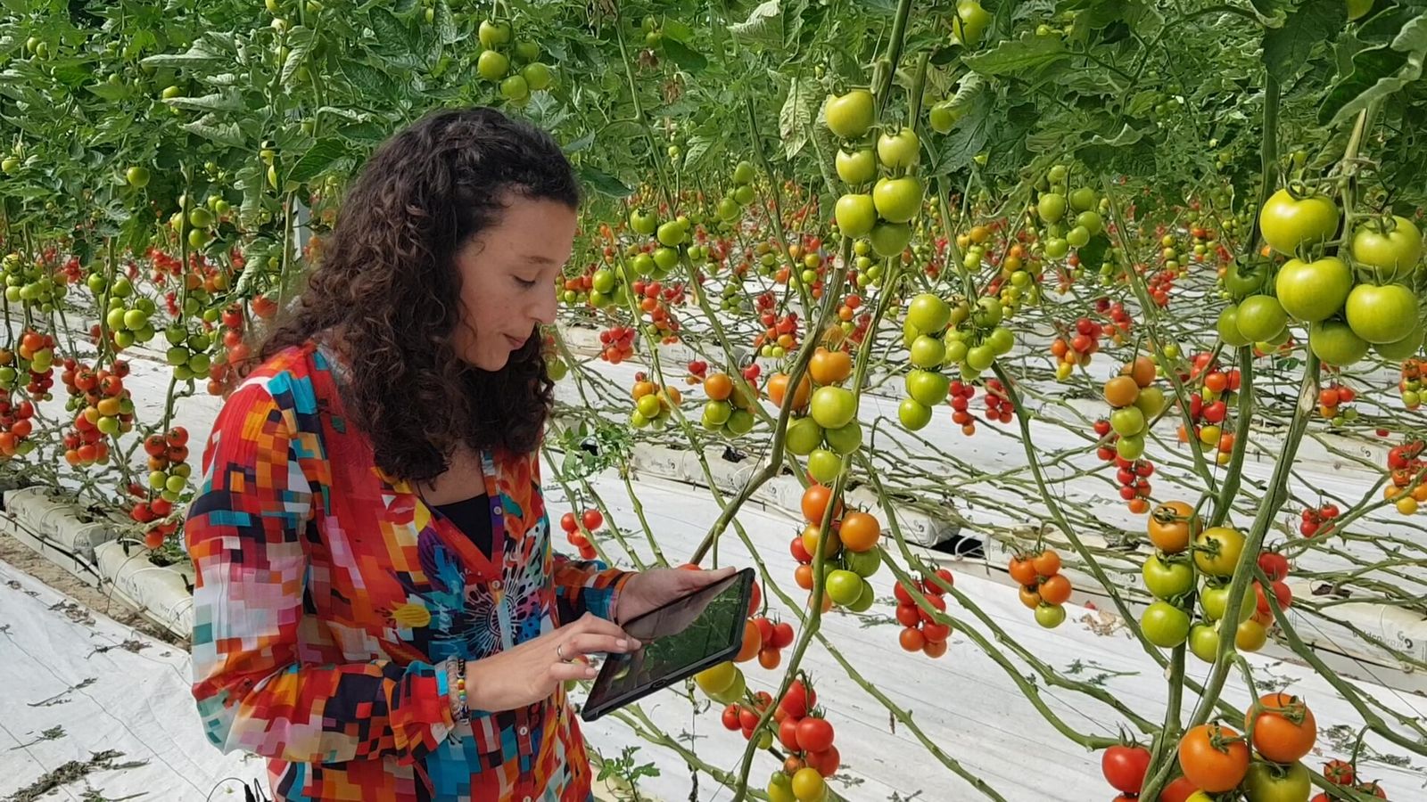 Estudio de los resultados.