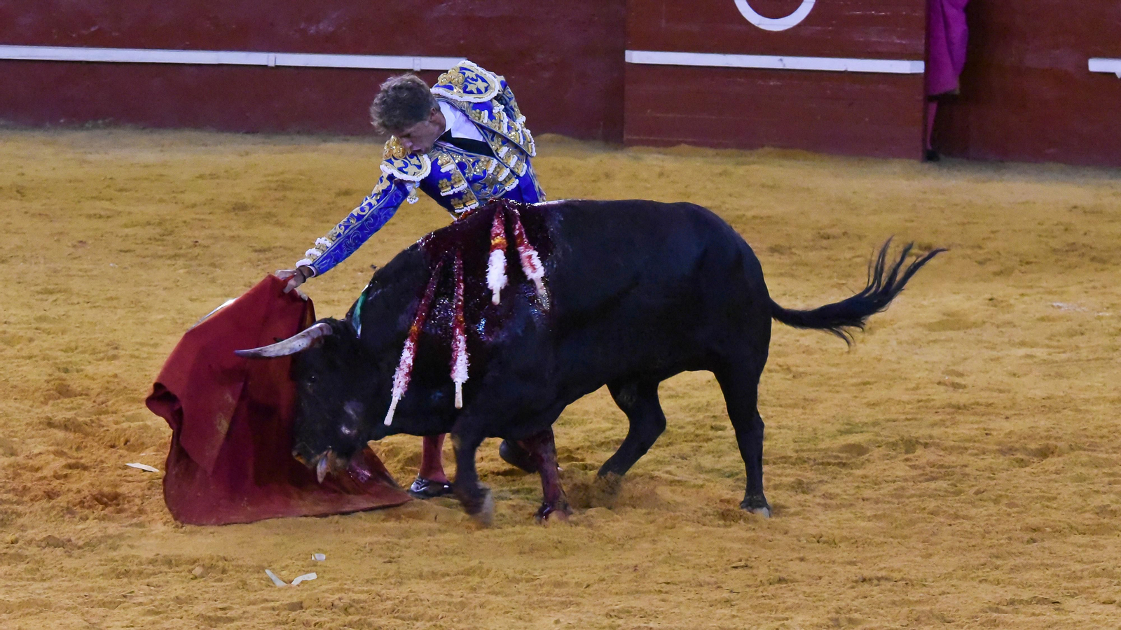 El festejo mixto de la Feria Real de San Roque, en imágenes