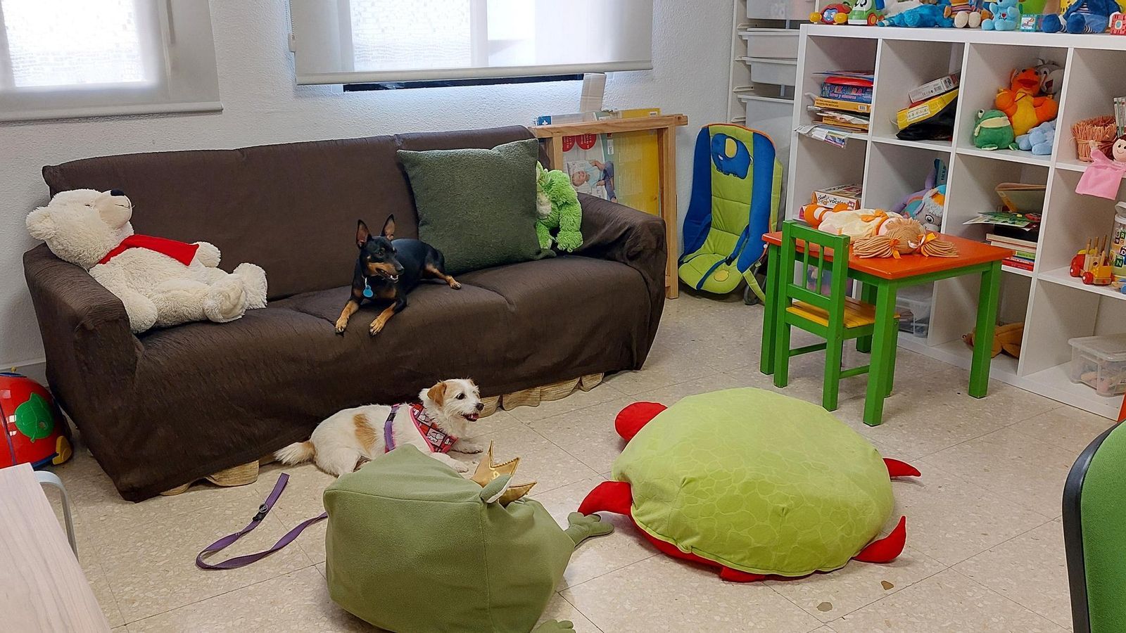 Una de las salas con los perros