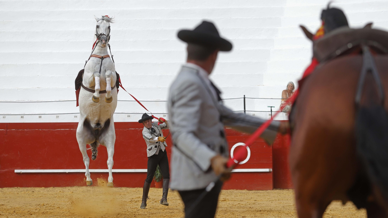 Fotos del espectáculo 'Cómo bailan los caballos andaluces' en San Roque
