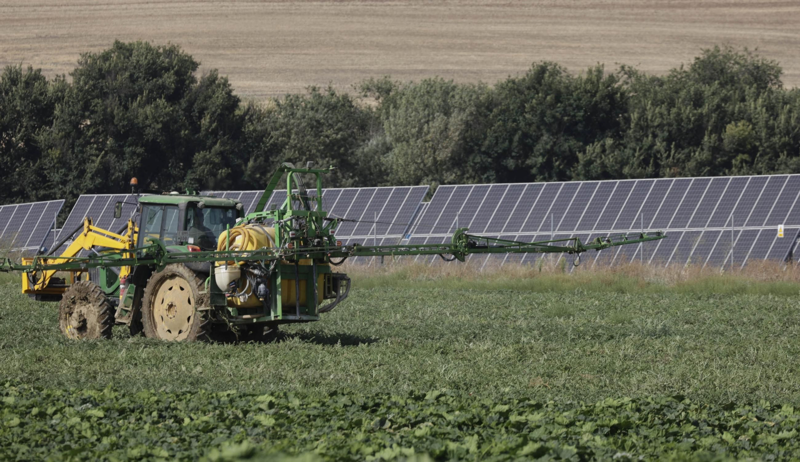 Un agricultor en su campo de melones de Guillena junto al parque fotovoltaico cercano a la A-66.