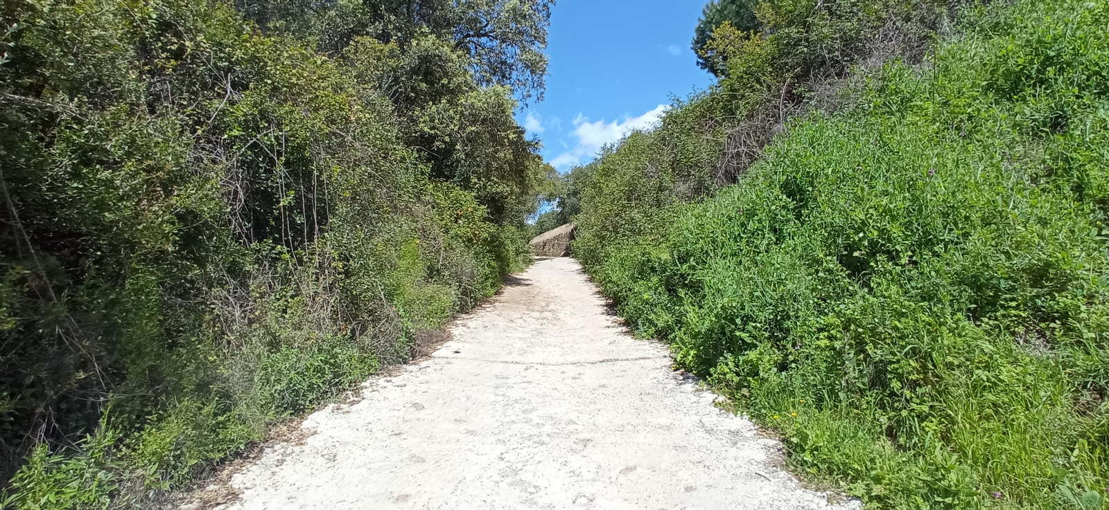 Las imágenes de la ruta de las casas de los Tres Cerditos