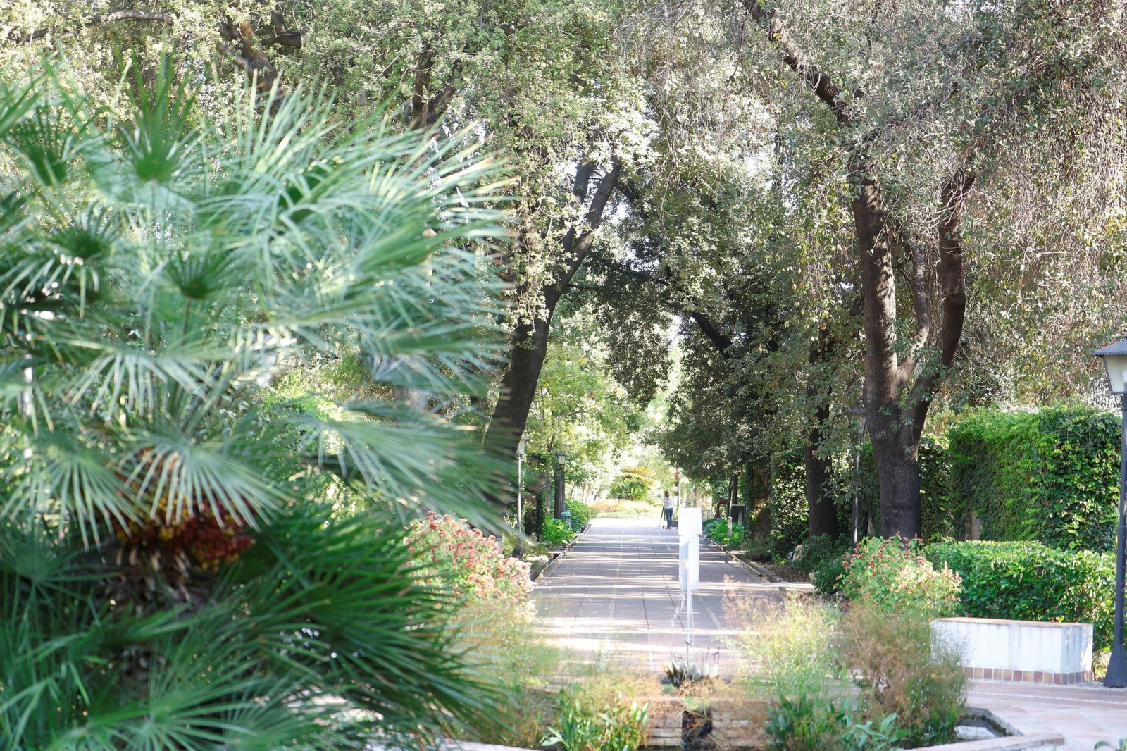 Un paseo en imágenes por el Real Jardín Botánico de Córdoba