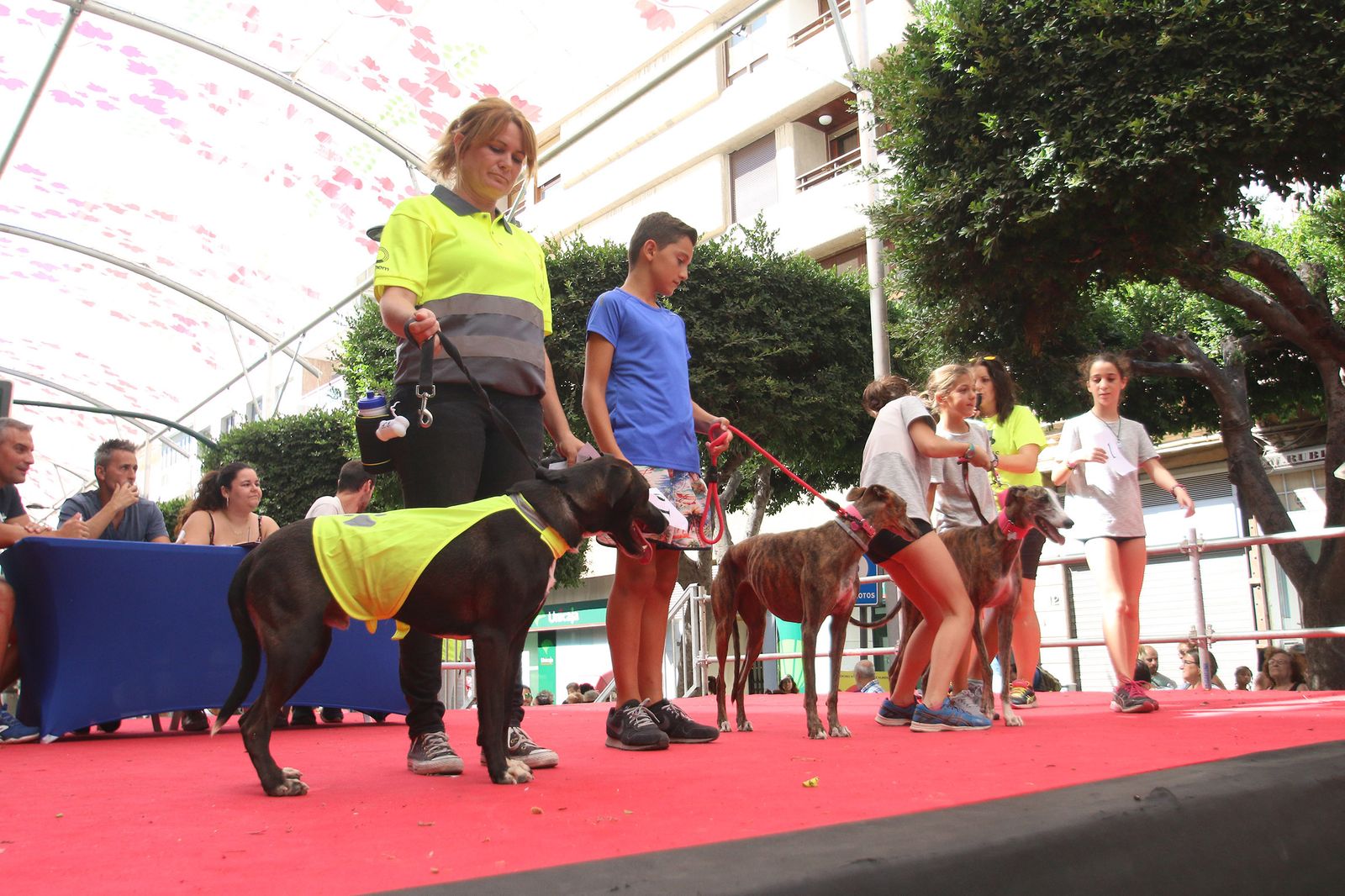Fotogalería del concurso canino. Feria de Almería 2019