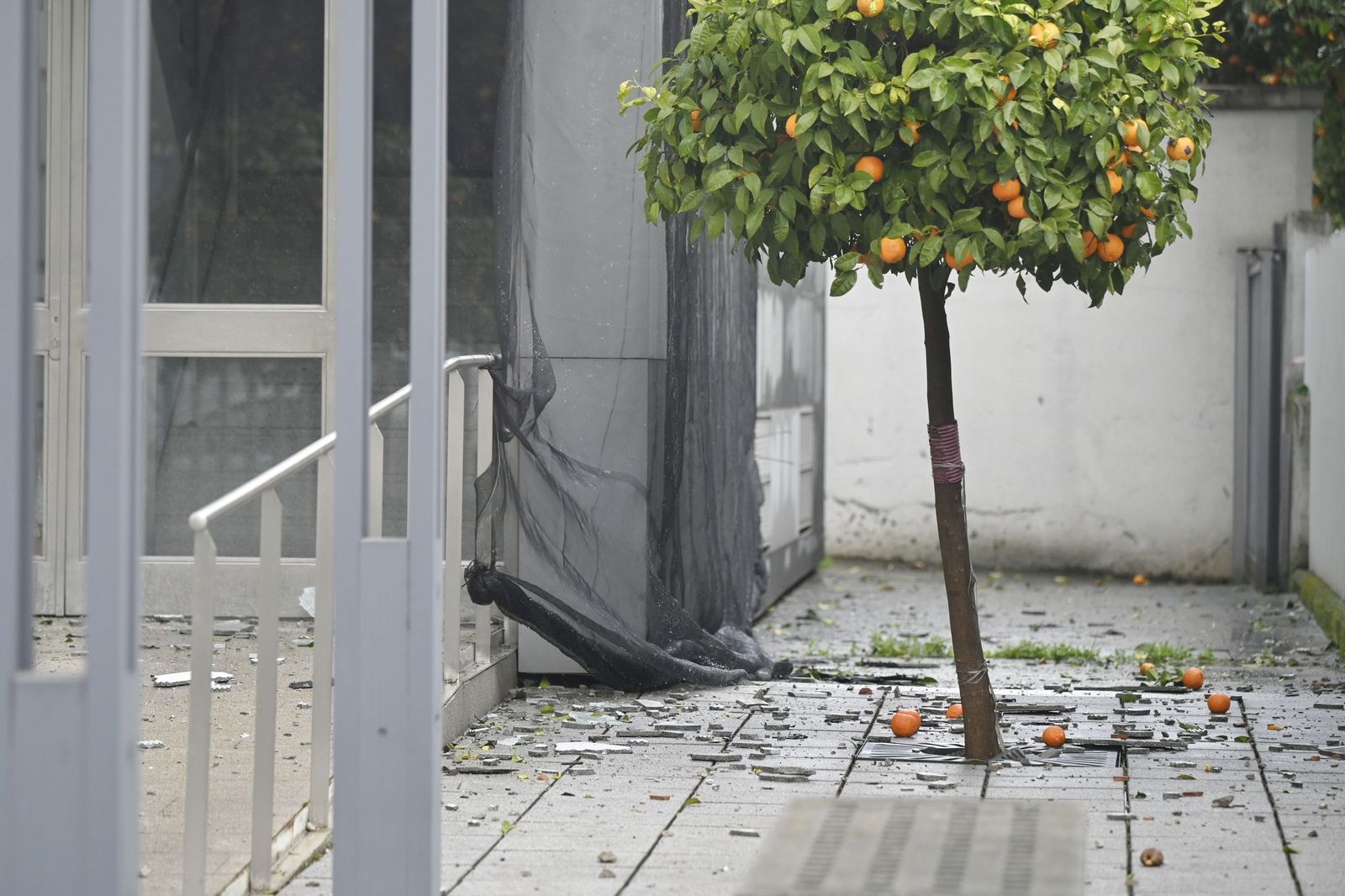 Las imágenes de los destrozos de la borrasca Kristin en Córdoba: árboles arrancados y desprendimientos de tejados y fachadas