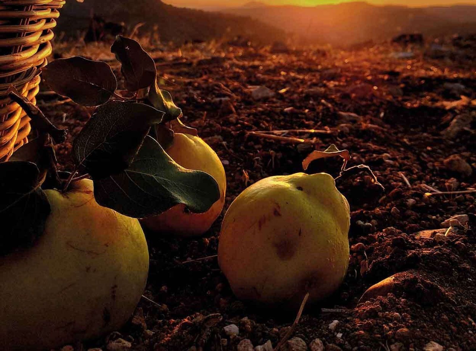 Durante el Primer encuentro gastrocultural "Sabores del mundo" los asistentes podrán saborear comida que elaborarán los vecinos de Carcabuey procedentes de otros países
