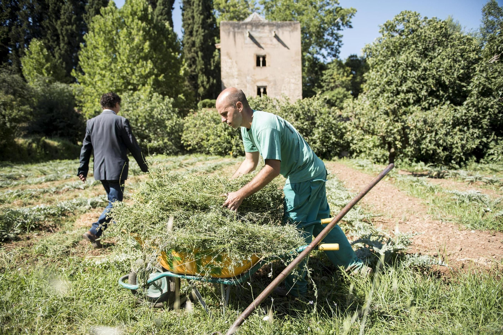 Imagen de uno de los jardineros de la huerta medieval de la Alhambra. Imagen de uno de los jardineros de la huerta medieval de la Alhambra.