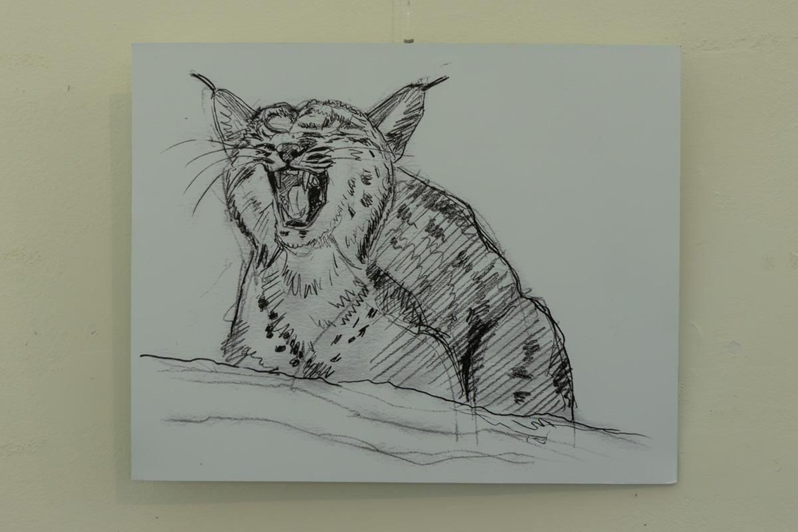 Exposición Los pinceles del lince ibérico, en imágenes