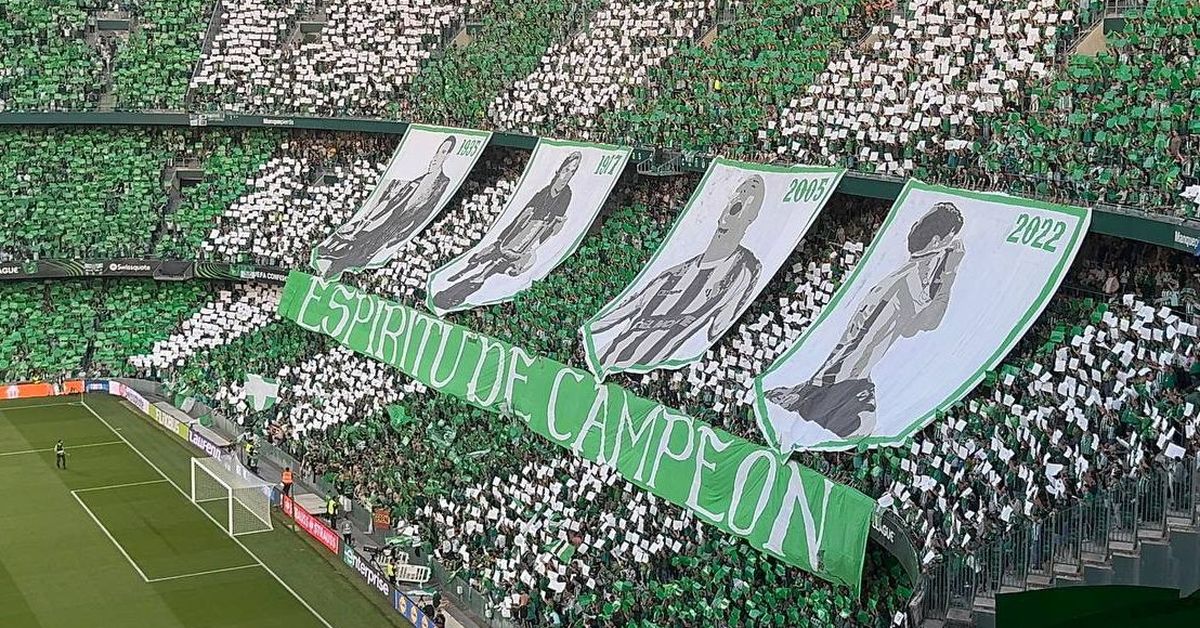 Así ha sido el espectacular tifo de la afición del Betis ante la ...