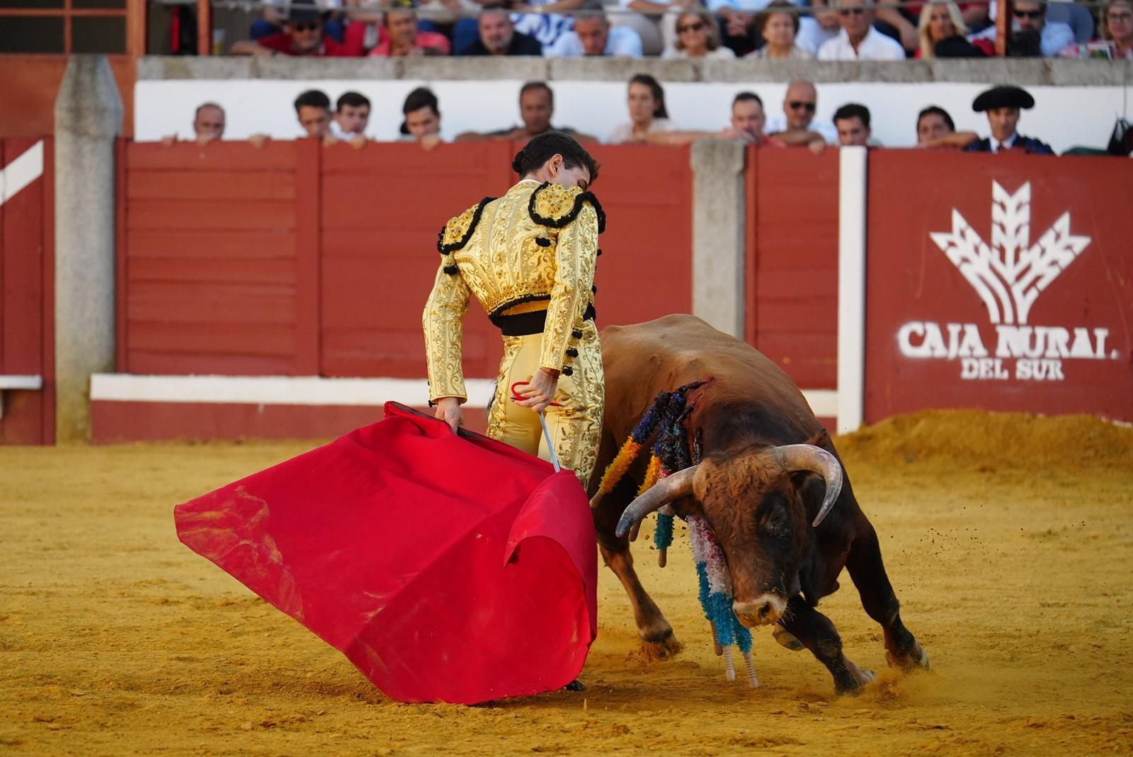 Las fotos del triunfo de Manuel Quintana en la feria taurina de Pozoblanco