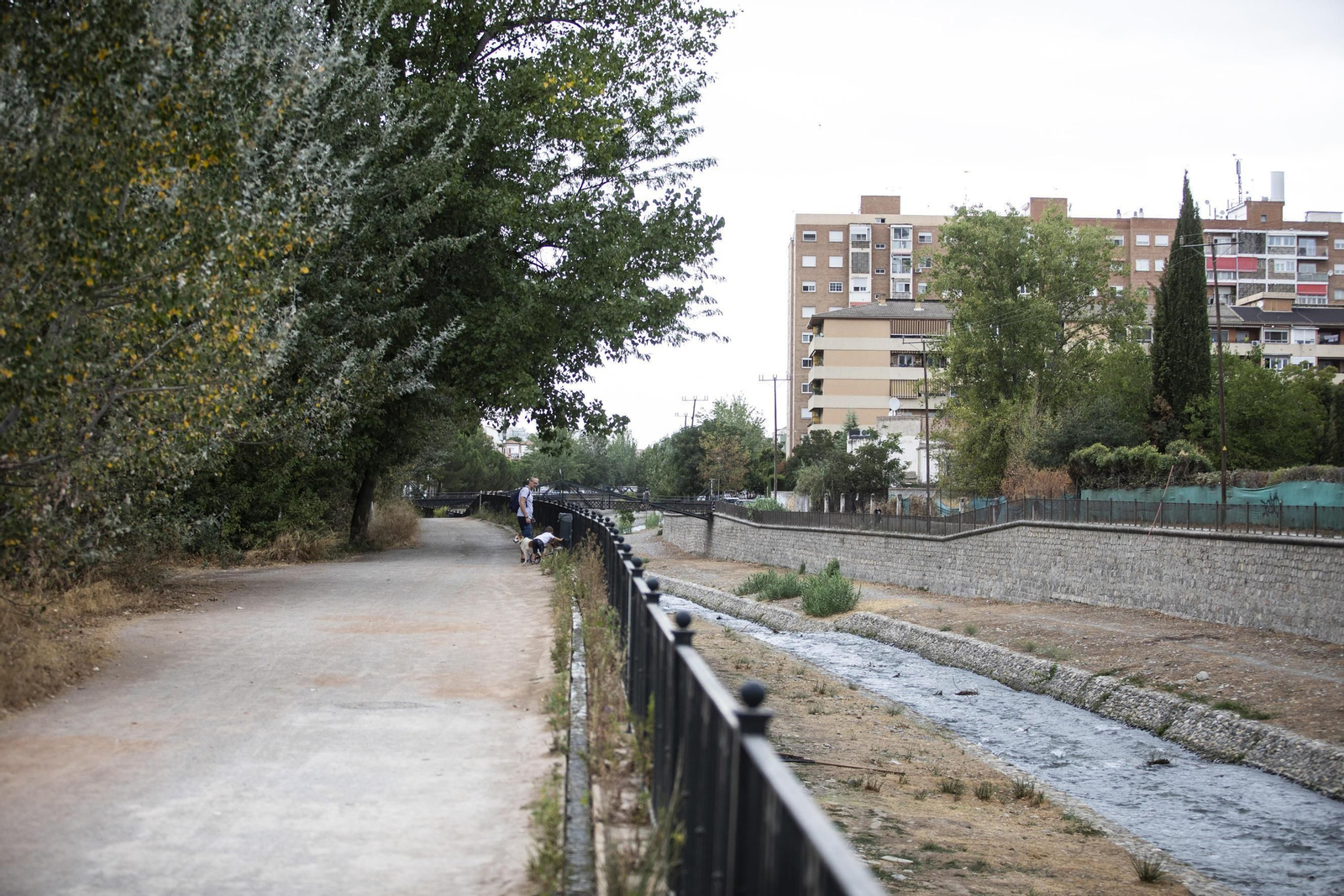 Ruta del Colesterol en Granada: cauces de los ríos Genil y Monachil