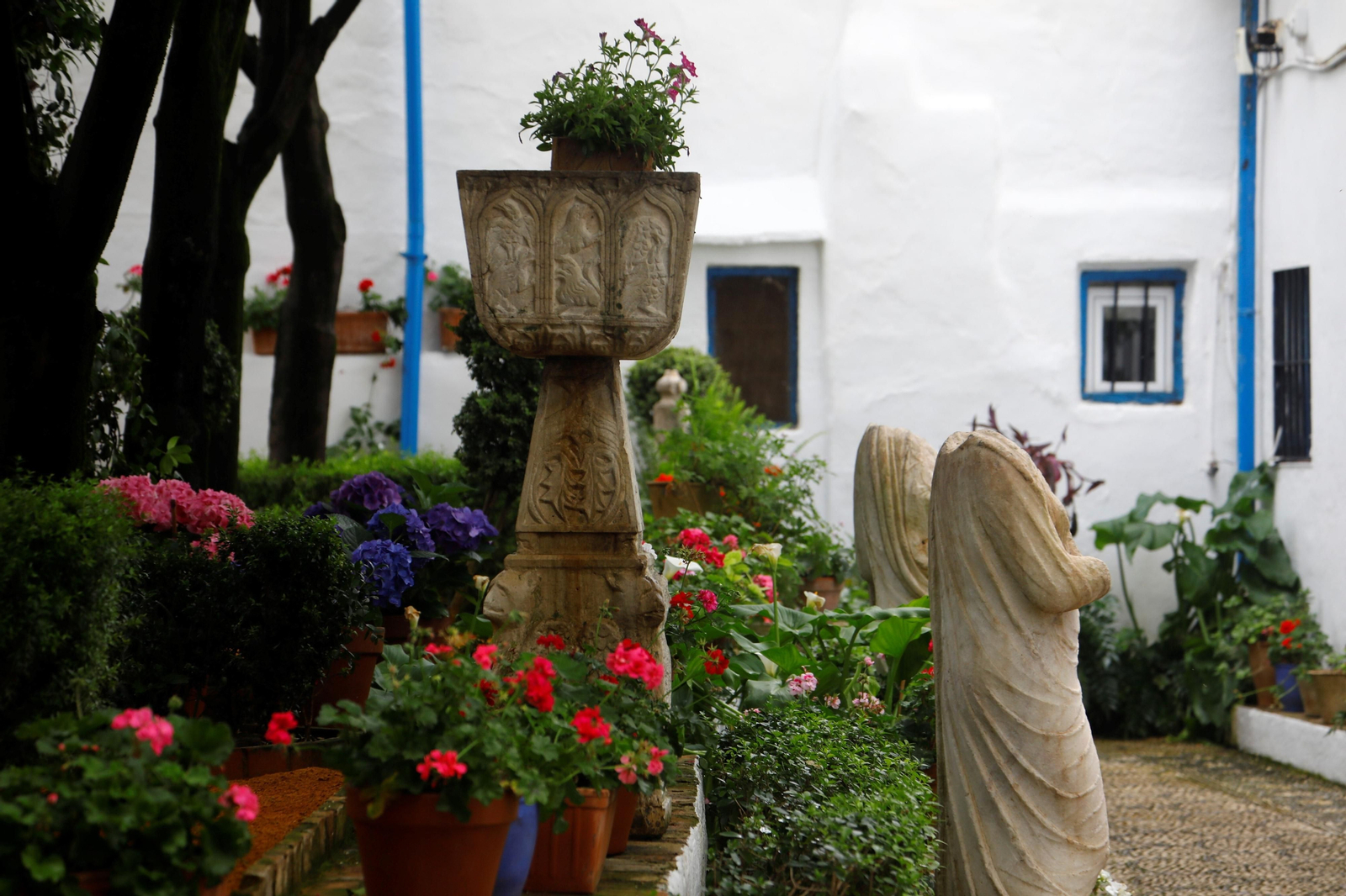 Los patios de Córdoba de la ruta Judería-San Francisco, en imágenes