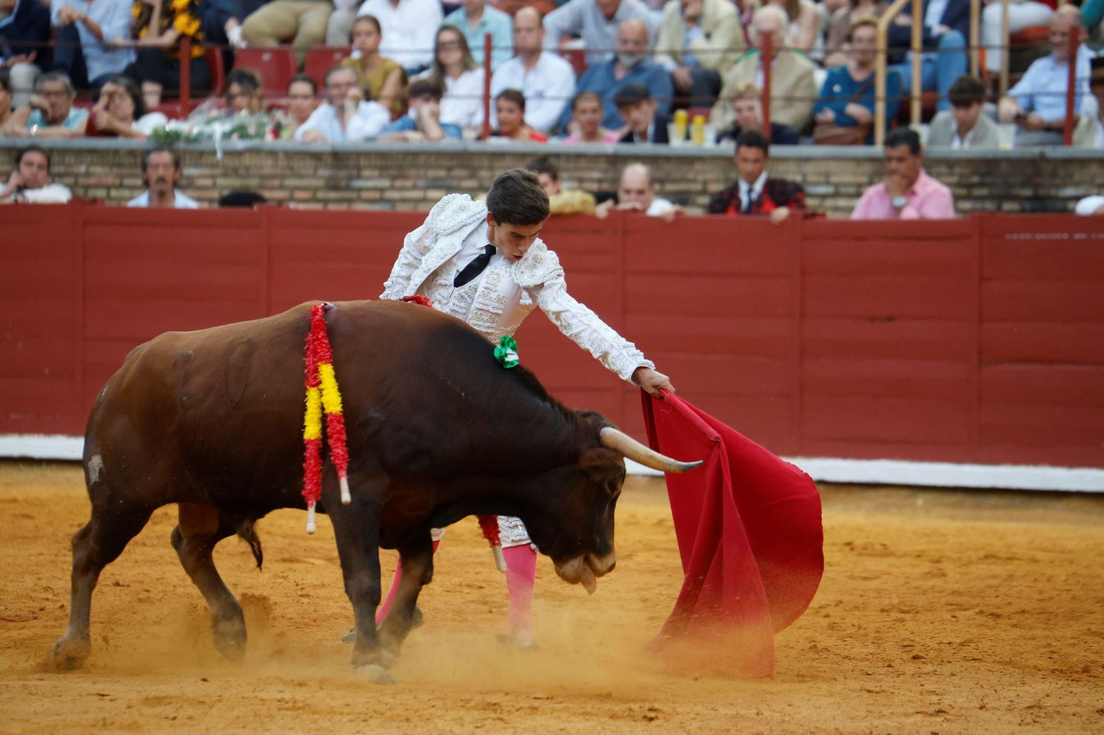 El novillero Manuel Quintana, el pasado mayo en su estreno en la Plaza de Toros de Córdoba.