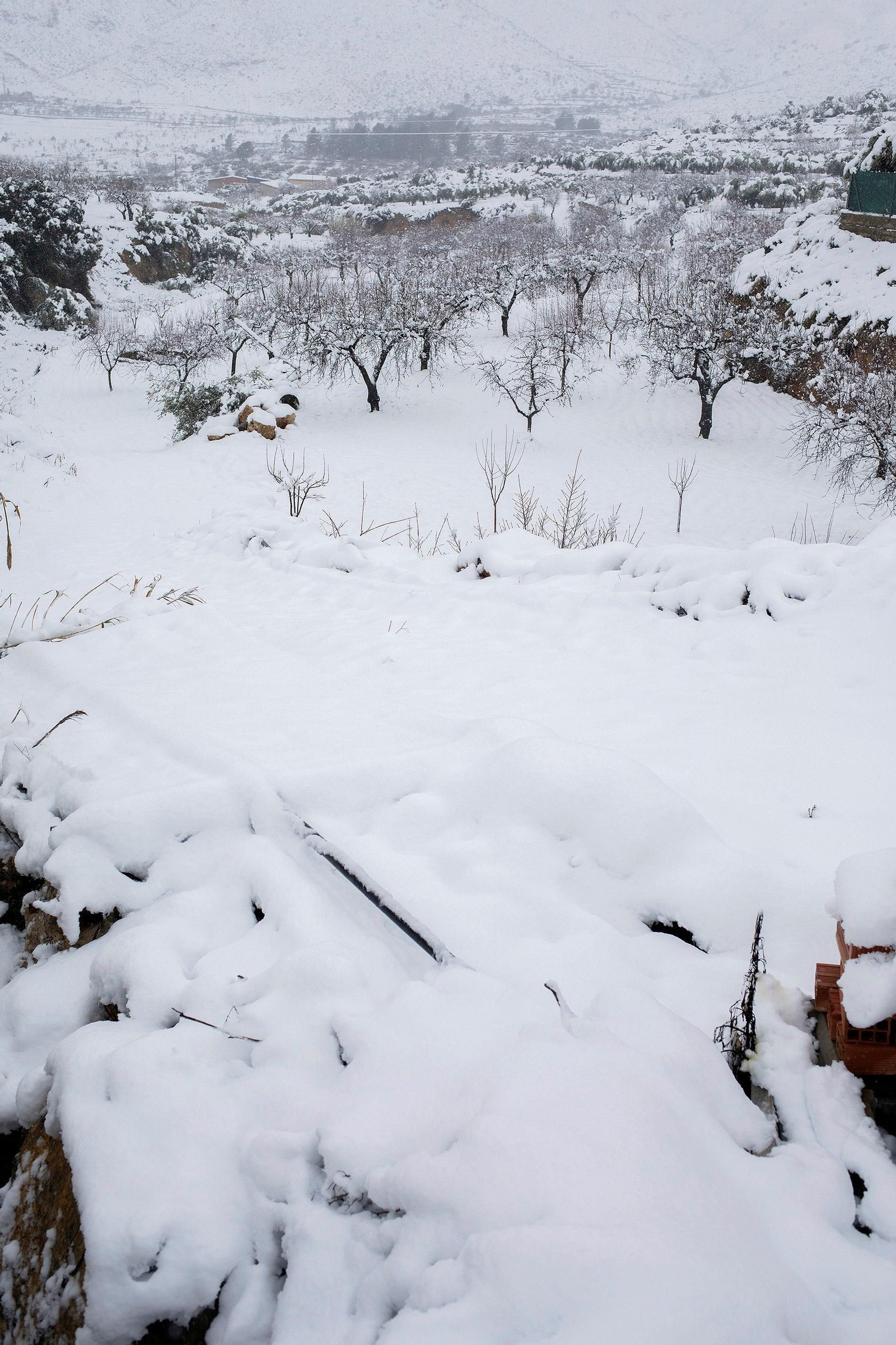 El segundo día del temporal 'Filomena' en imágenes: más nieve y caos