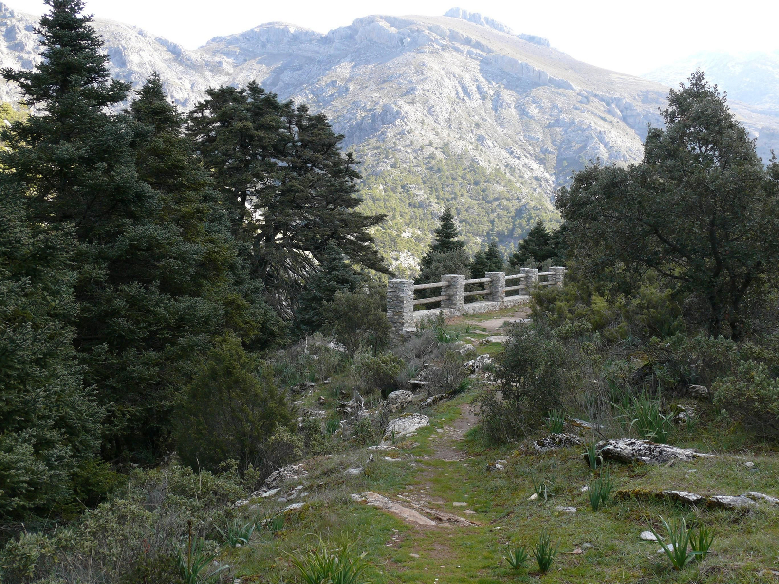 La Sierra de las Nieves, en fotos