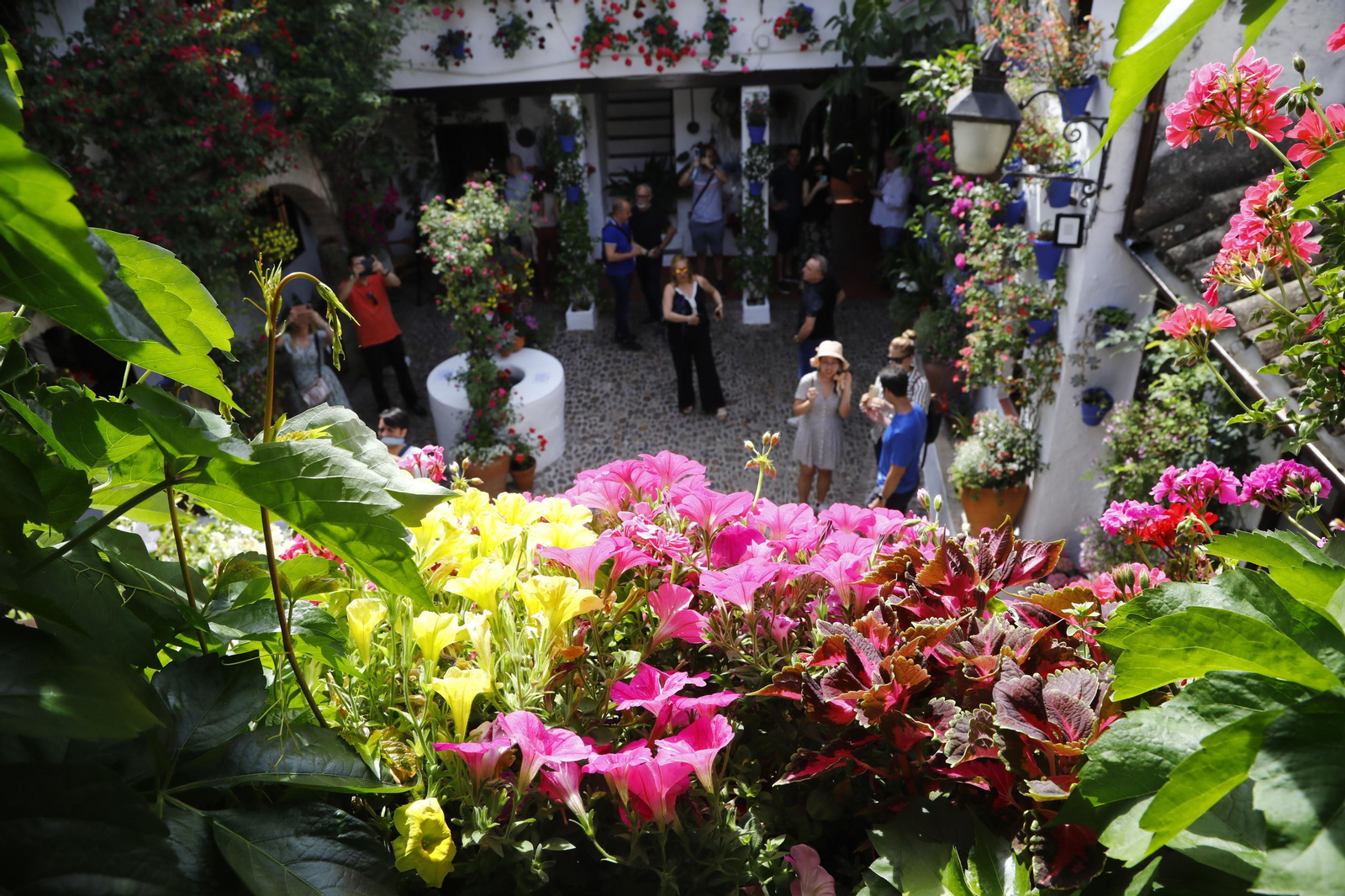 El primer día de Patios en Córdoba, en imágenes