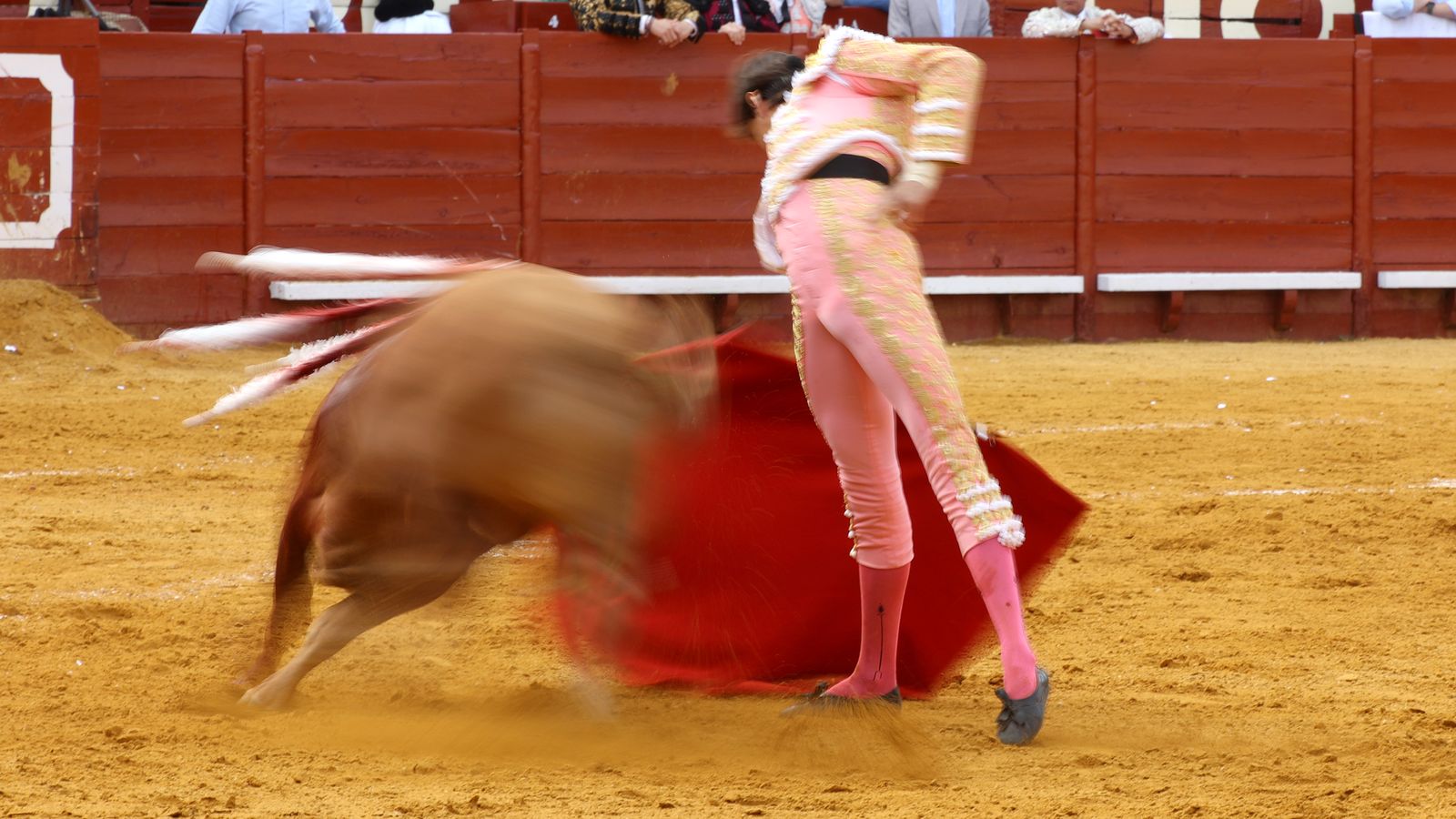 Tercera tarde de toros y última de la Feria de Jerez con Morante, Juan Ortega y Roca Rey