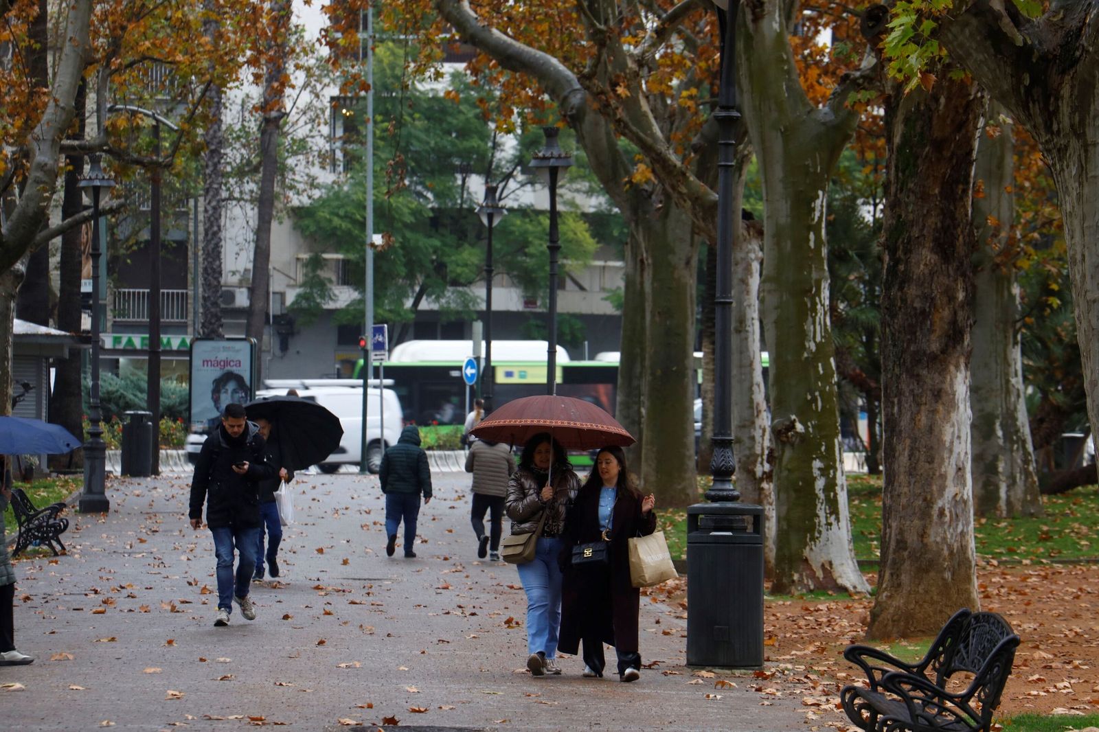 El paso de la borrasca Goretti por Córdoba