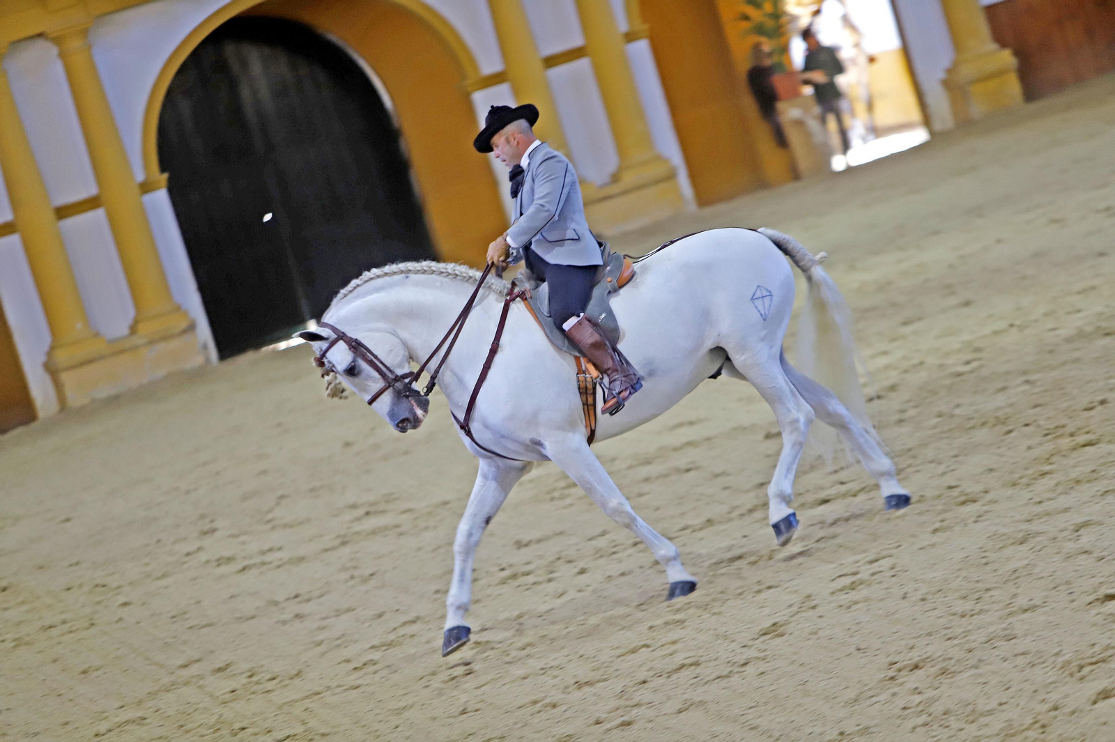 XVII Campeonato de Andalucía de Doma de Alta Escuela