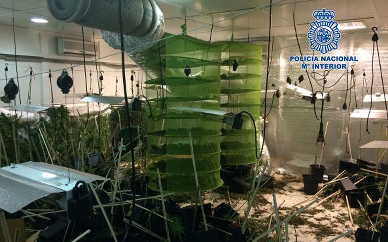 Las mil caras de la 'droga de moda'