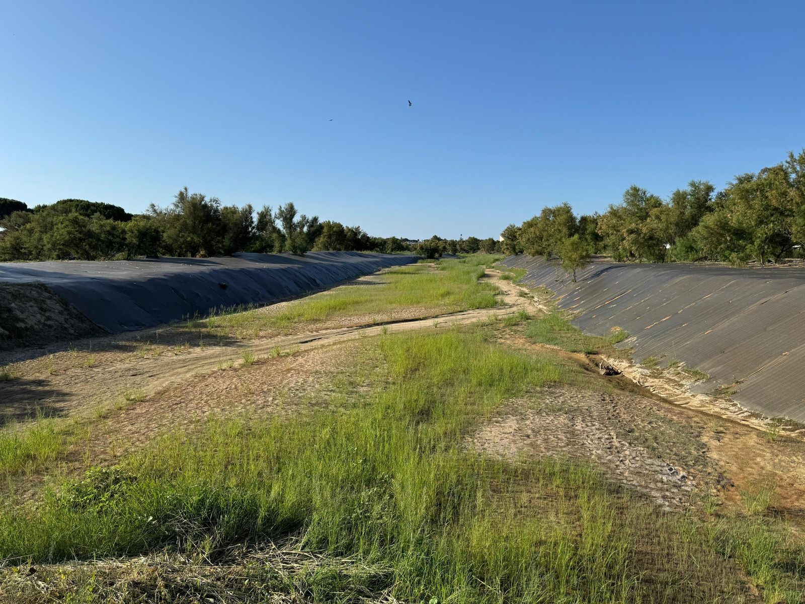 Actuación en el Chorrito del Valle.