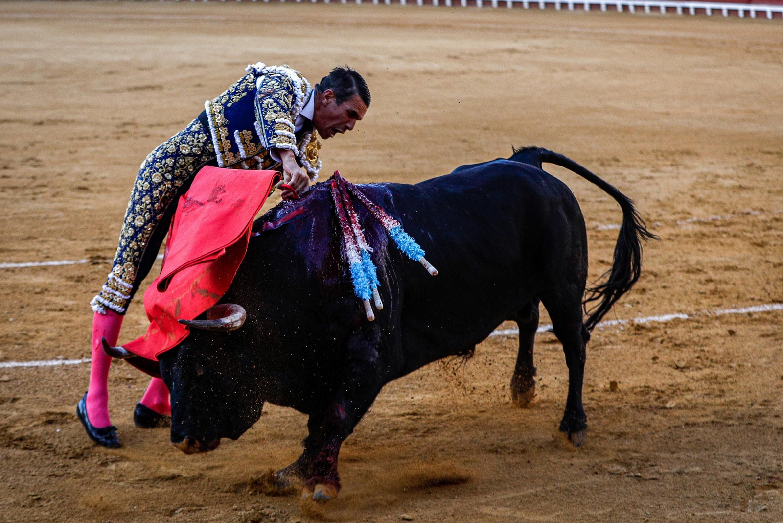 Imágenes de la corrida de toros en El Puerto: Manzanares, Roca Rey y Pablo Aguado
