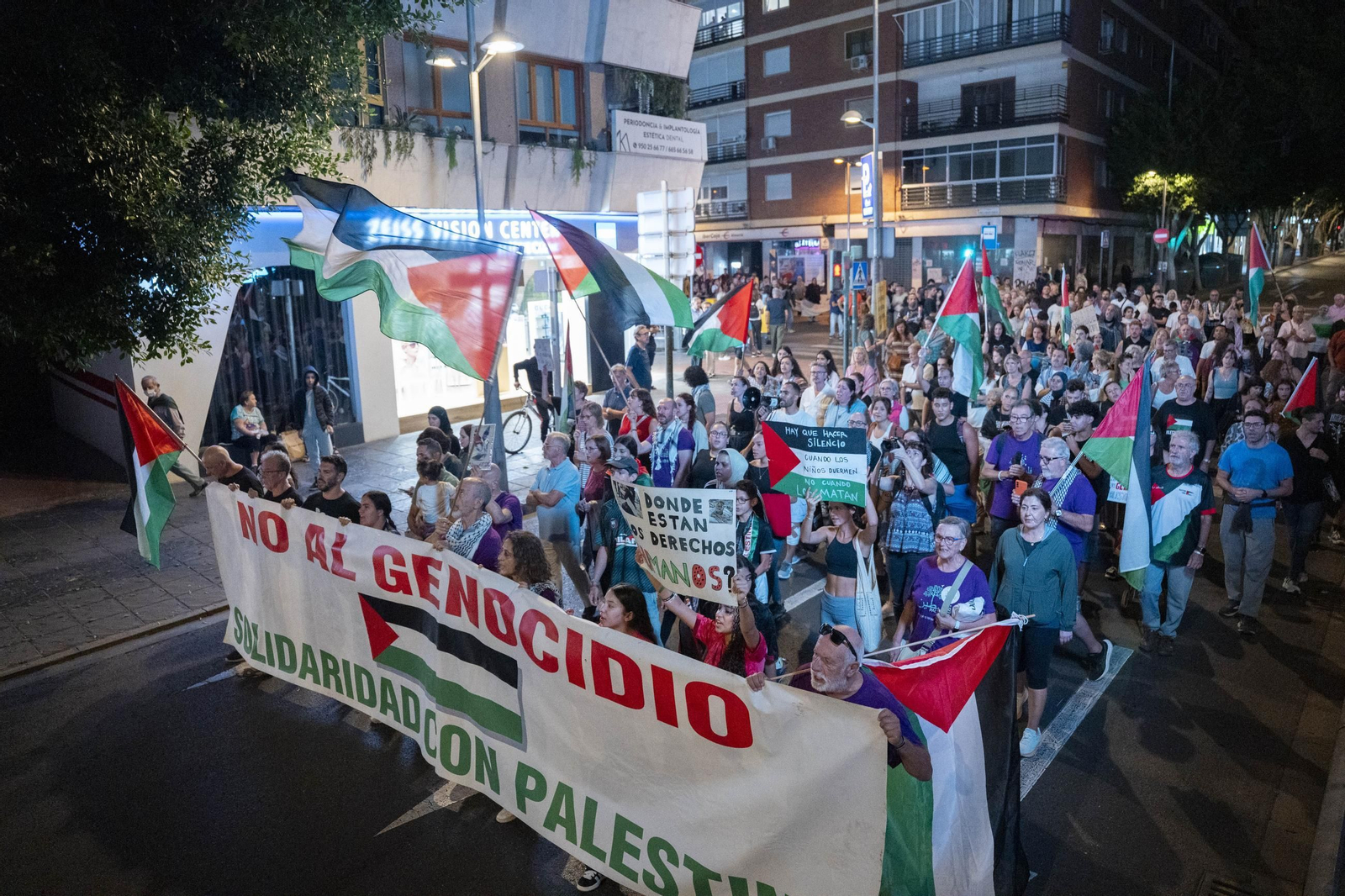 La Plataforma Almería por Palestina se manifiesta por la situación en Gaza, en imágenes