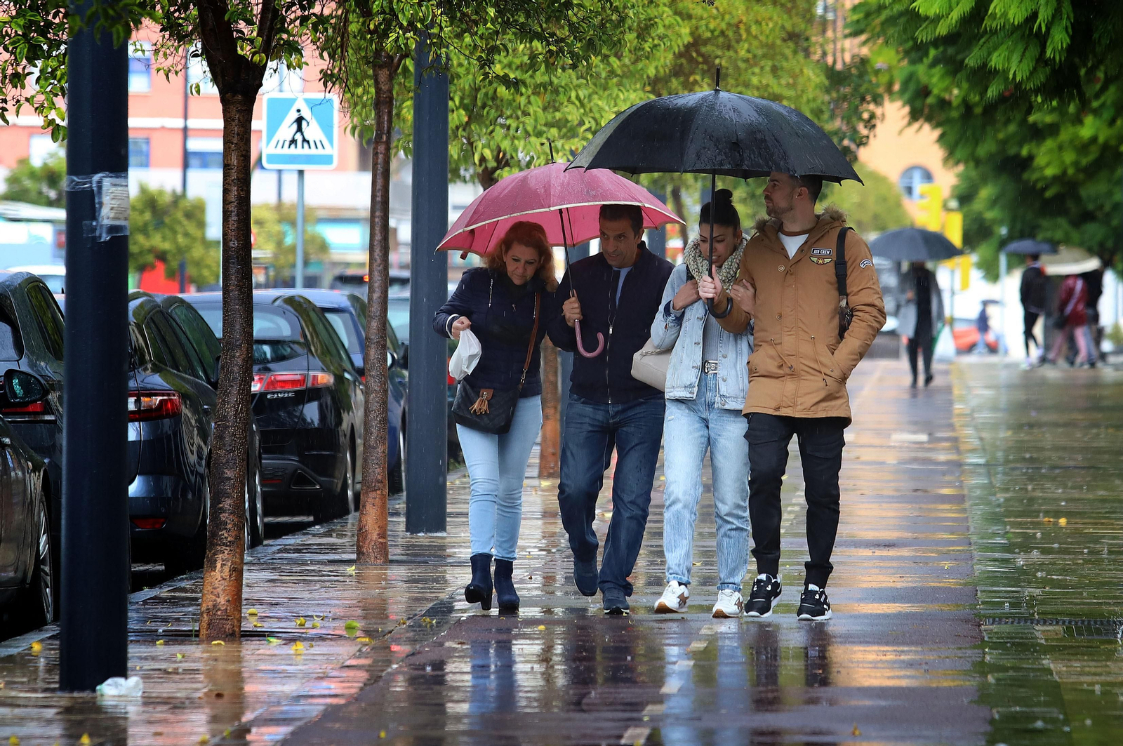 Imágenes del otoñal sábado 20 de noviembre en Huelva