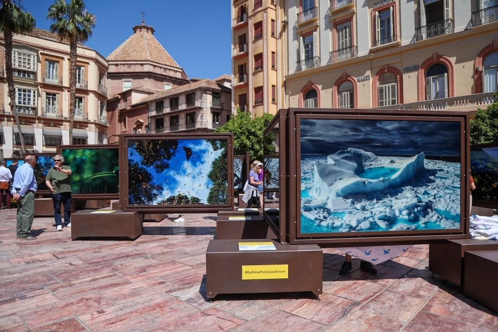 Algunas de las imágenes de la exposición 'De Polo a Polo' en la plaza de la Constitución.